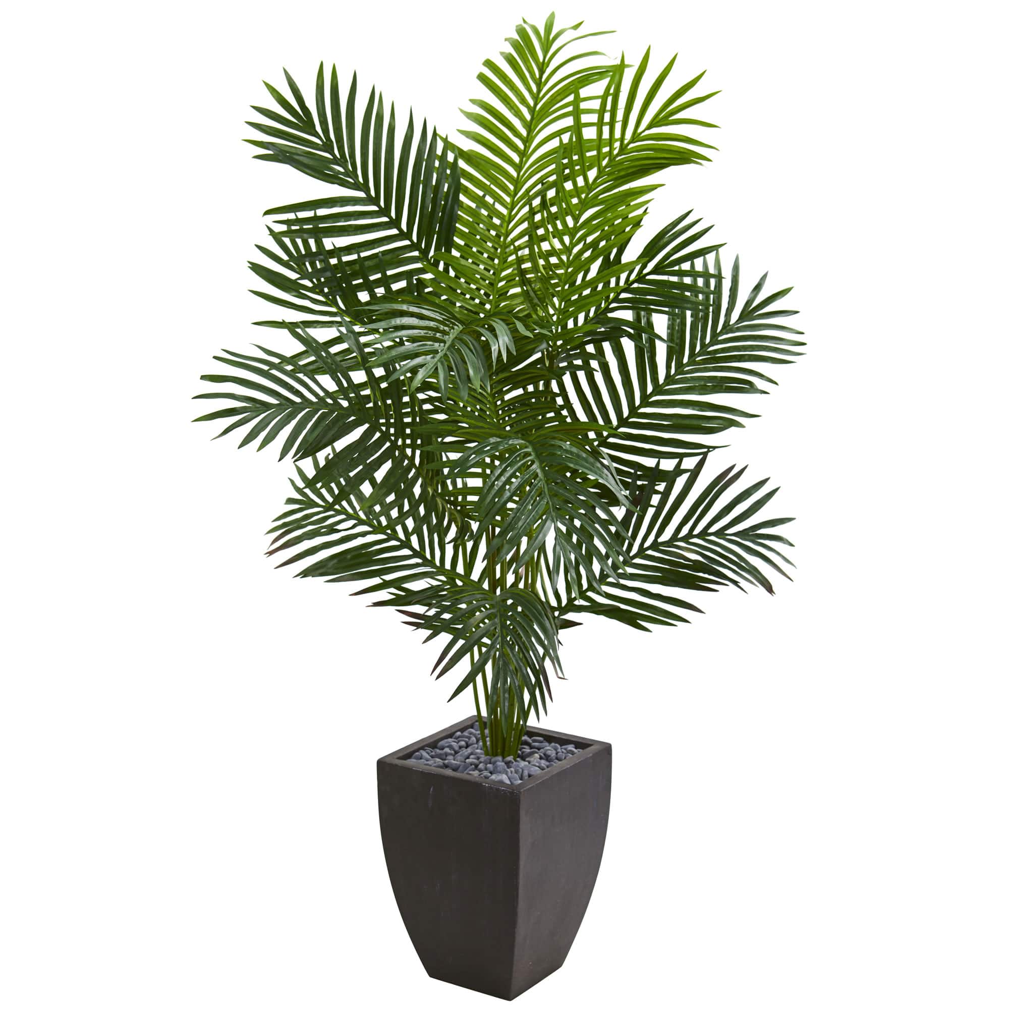 5.5ft. Paradise Artificial Palm Tree in Black Planter