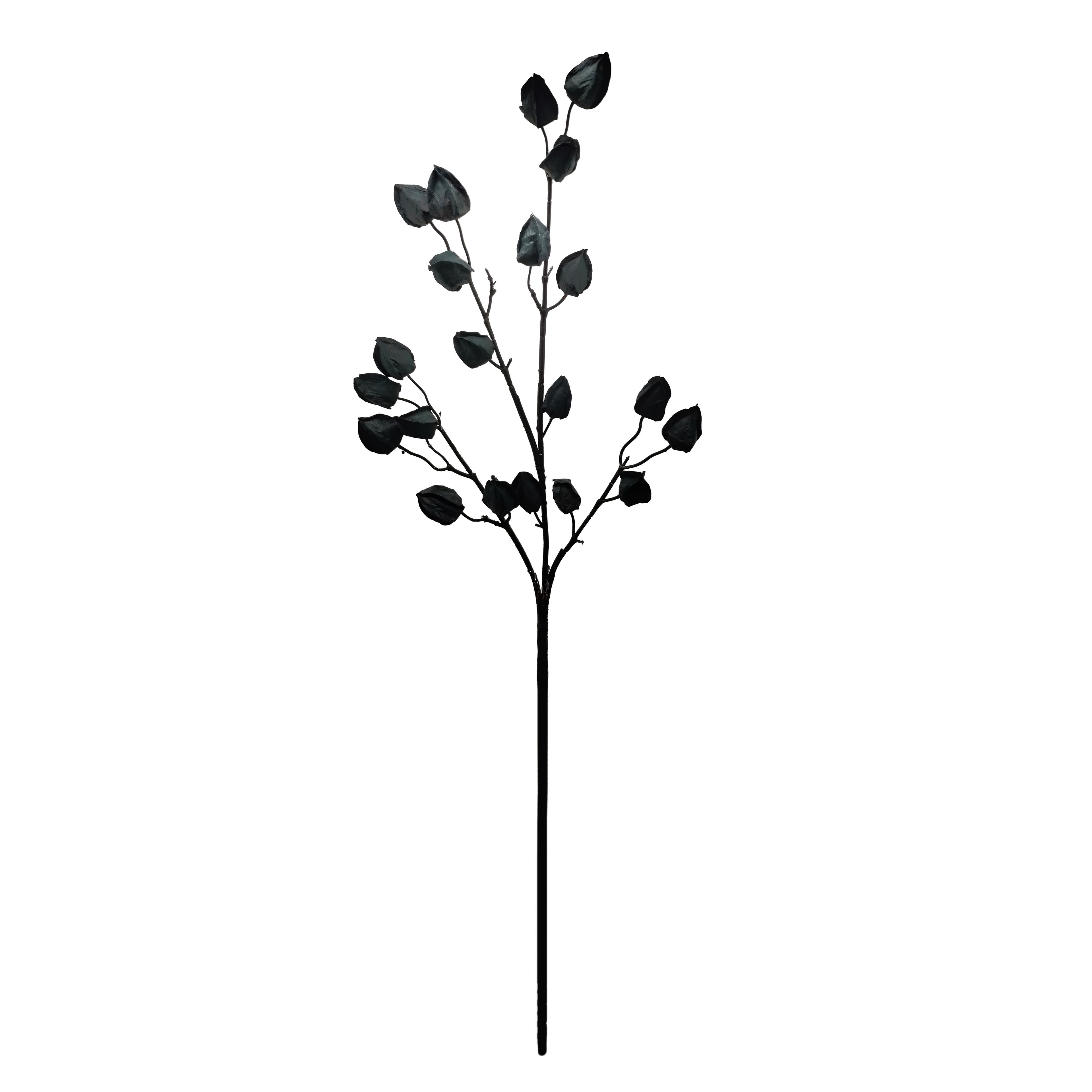 35&#x22; Black Lantern Berry Stem by Ashland&#xAE;