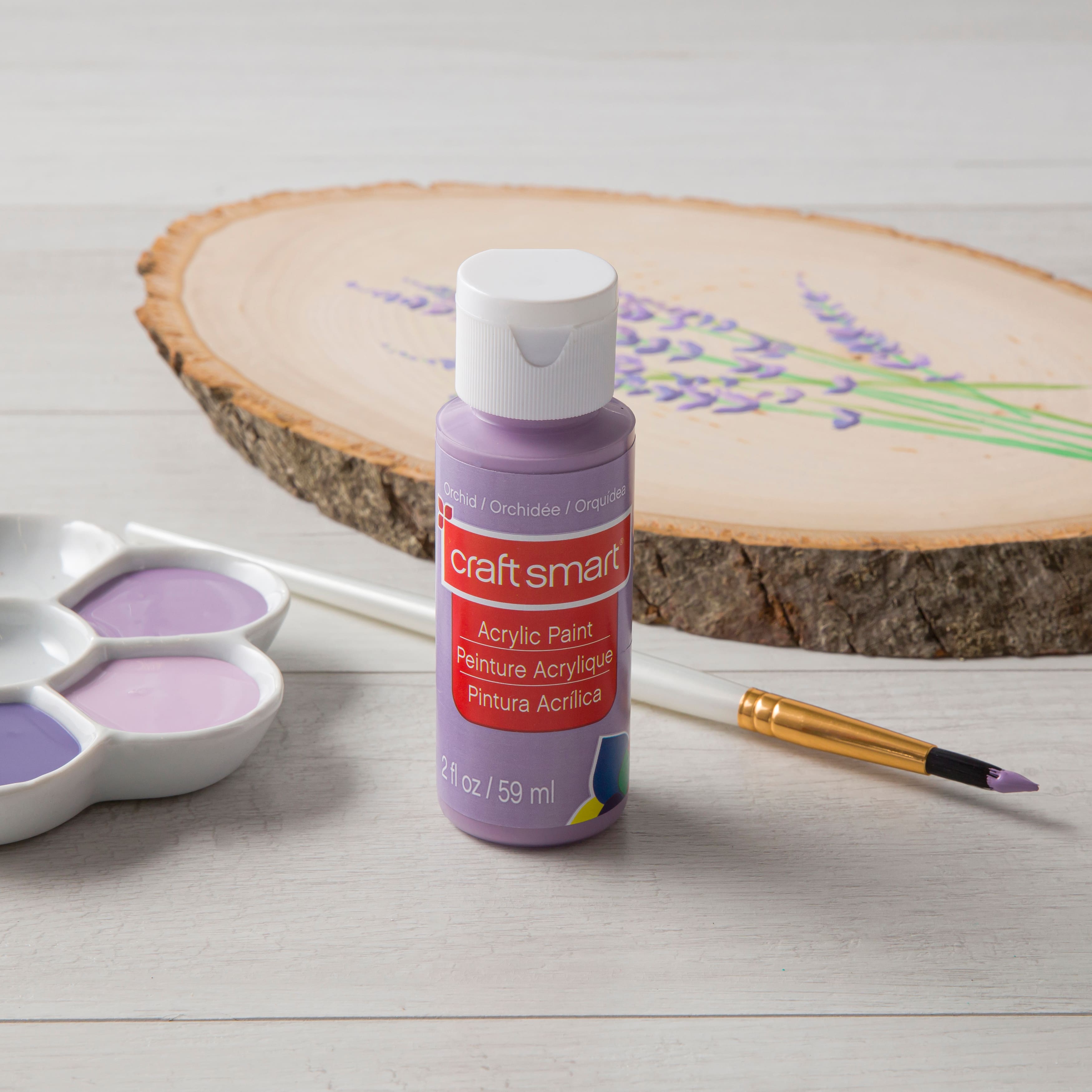 2oz. Acrylic Paint by Craft Smart®