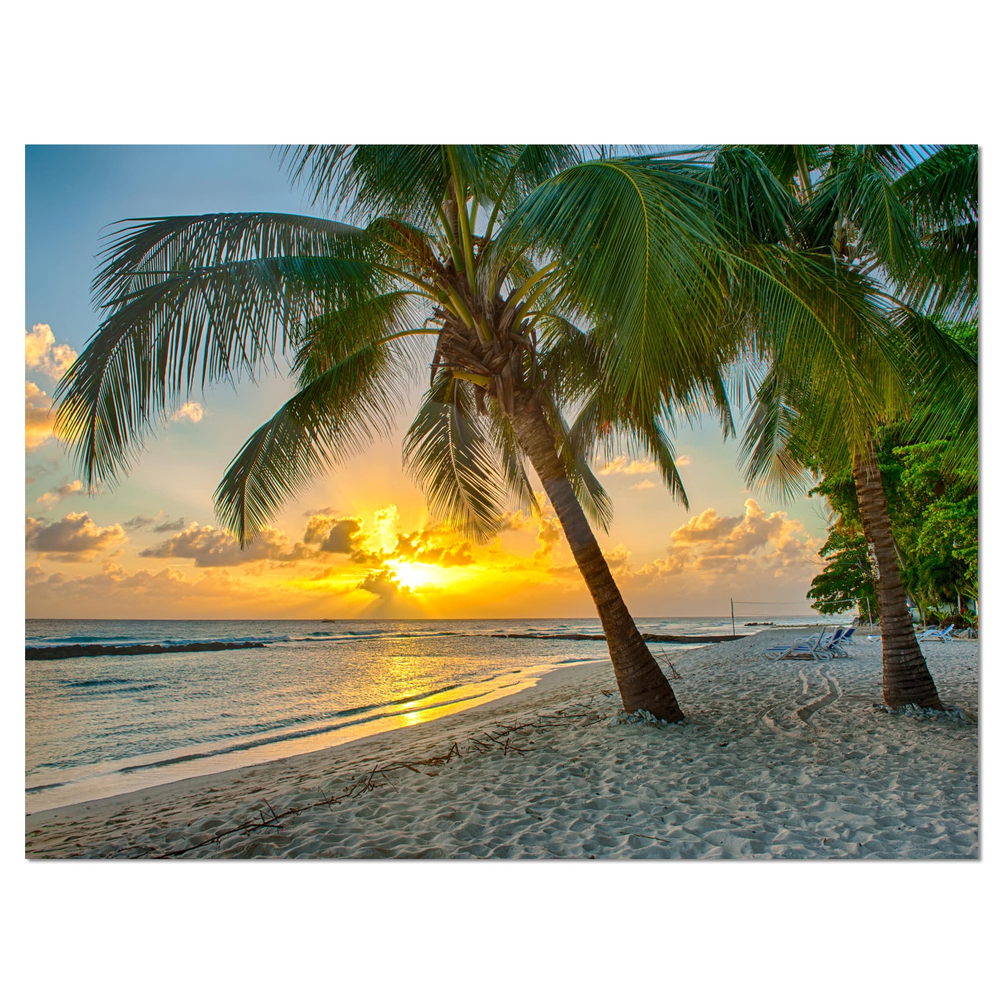 Designart - Beach in Caribbean Island of Barbados - Modern Seascape Canvas Artwork