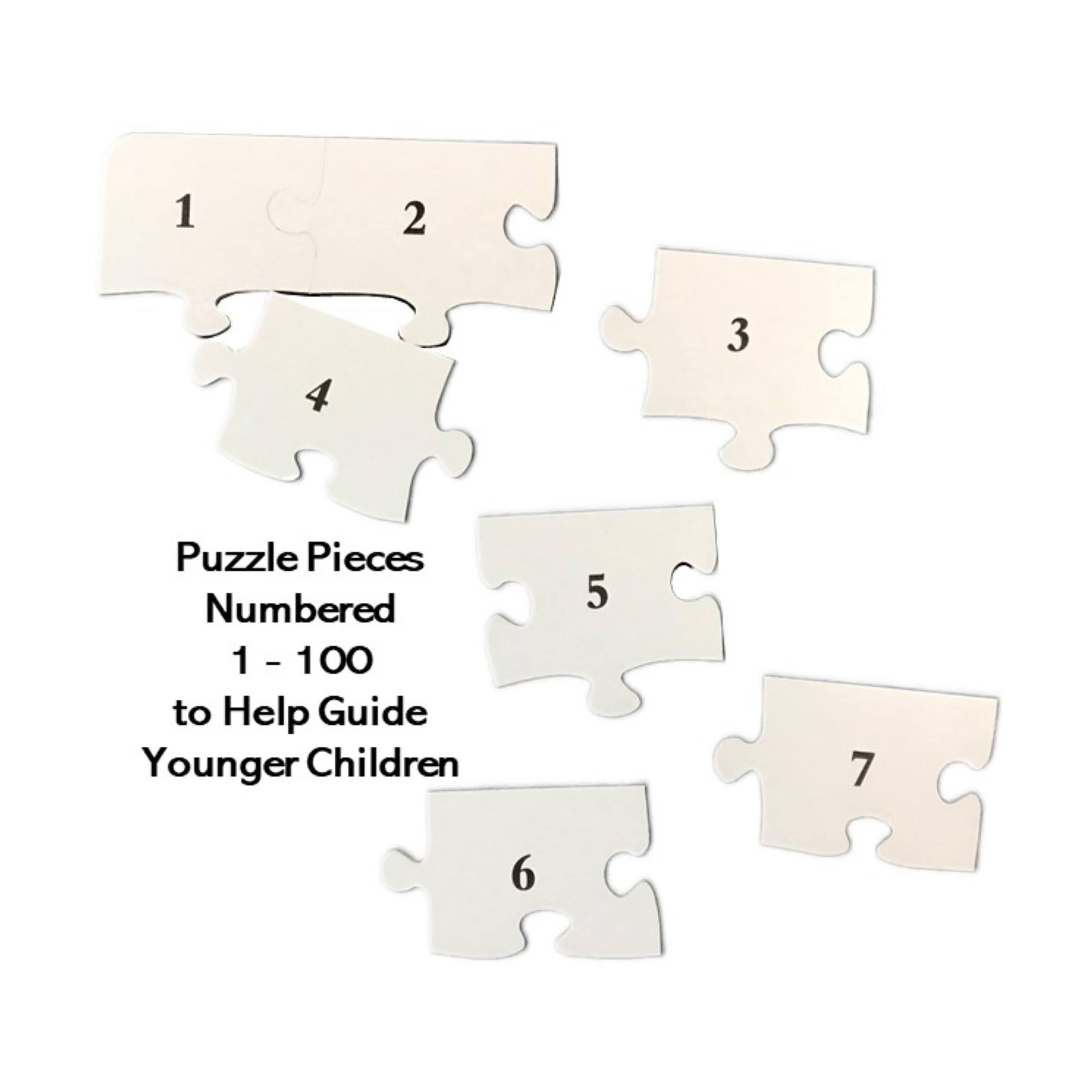 I Spy Treasure Hunt Search &#x26; Find Puzzle: 100 Pcs