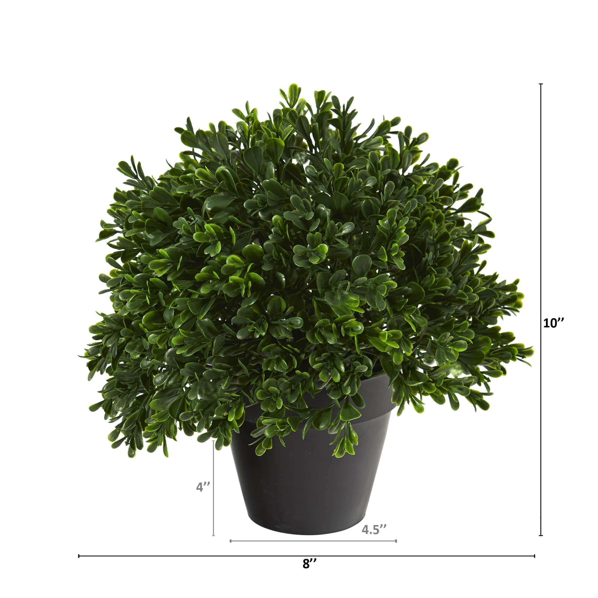10” Potted Boxwood Topiary Plant