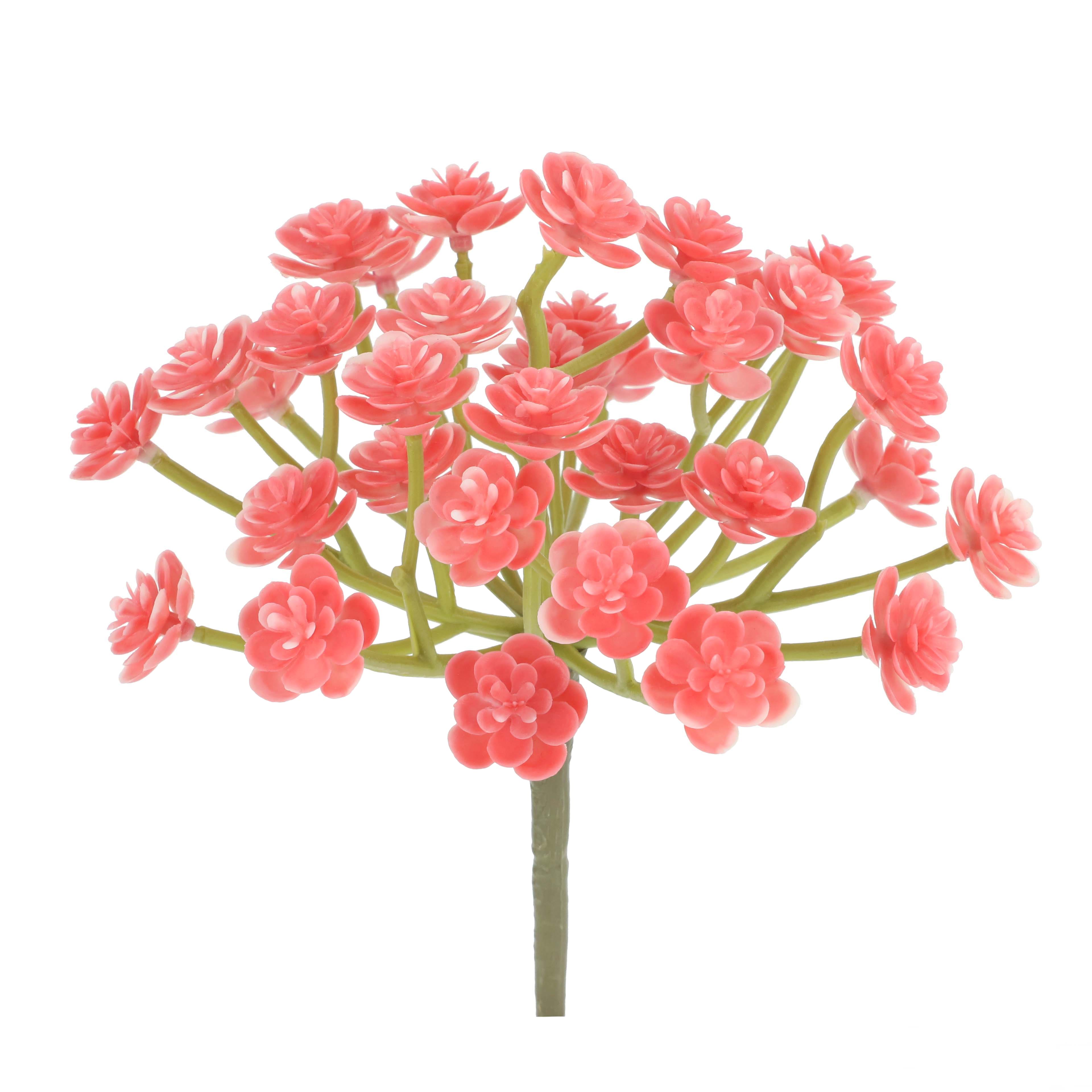 7&#x22; Pink Echeveria Pick by Ashland&#xAE;