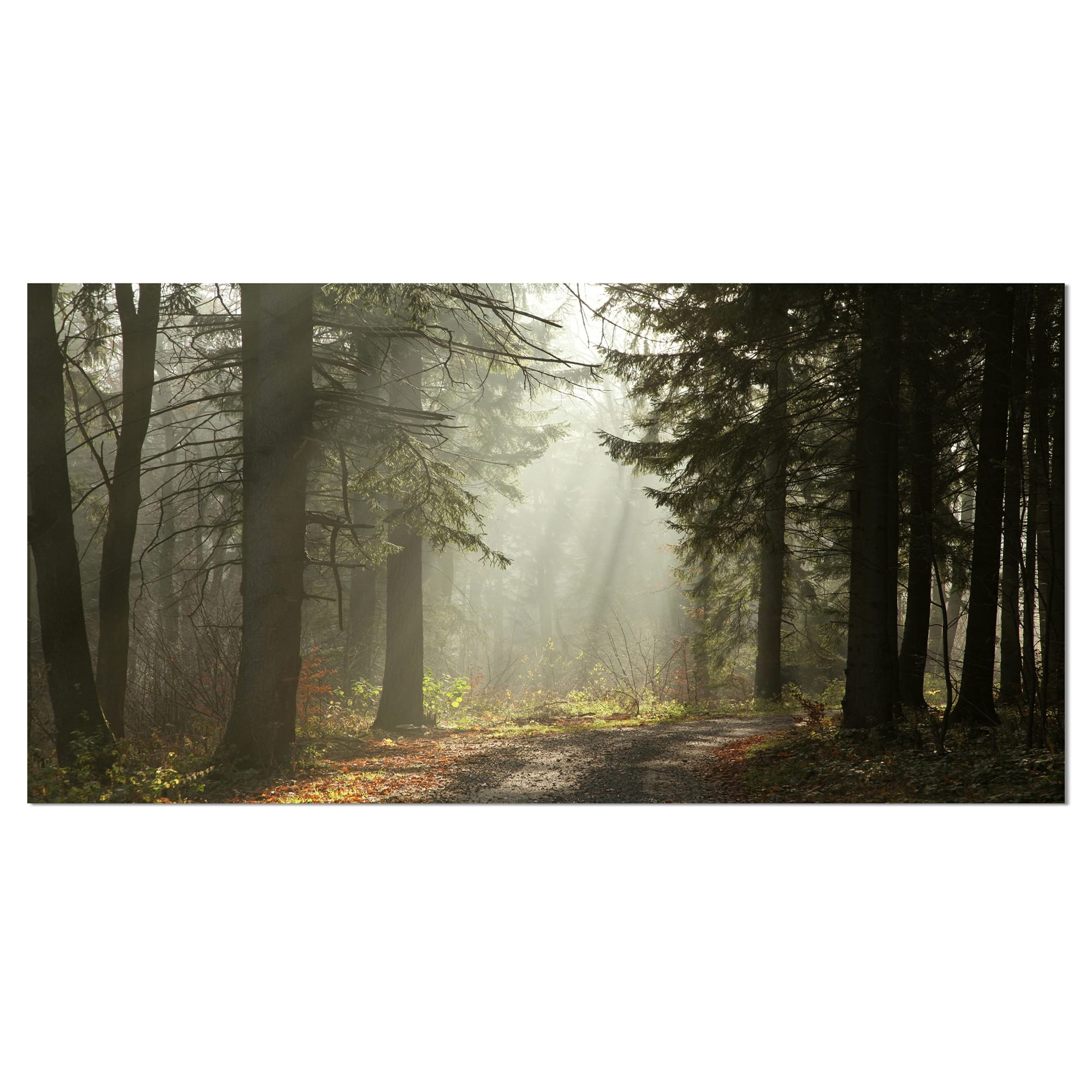 Designart - Dark Green Forest with Sun Rays - Landscape Photography Canvas Print
