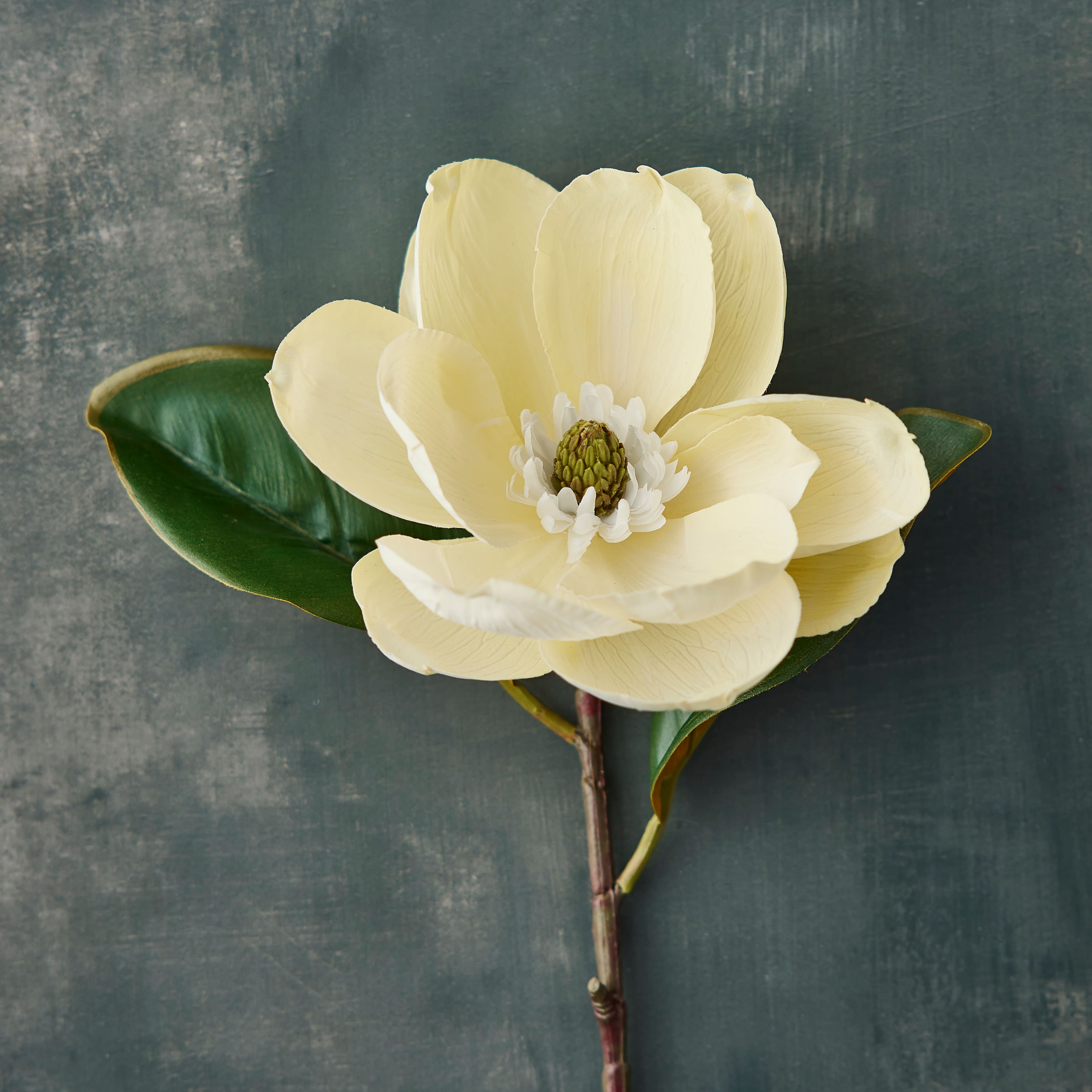 White Magnolia Stem by Ashland&#xAE;