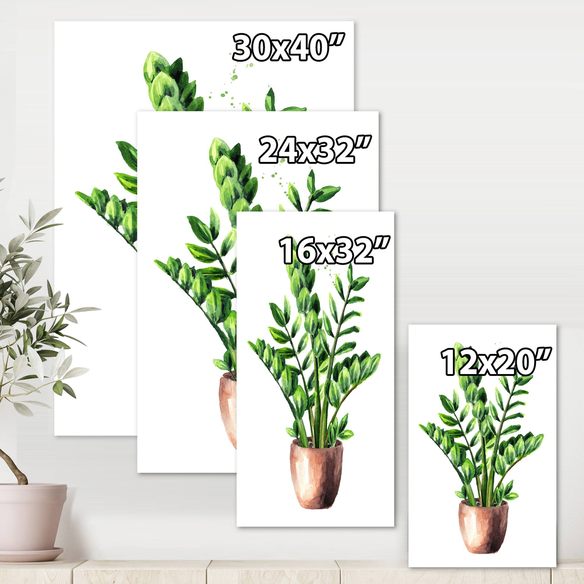 Designart - Zamioculcas Tropical Plant With Green Leaves