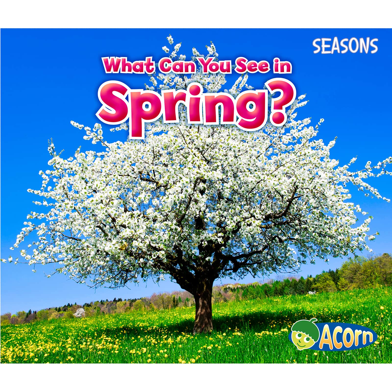 Capstone Press Seasons 4 Book Set