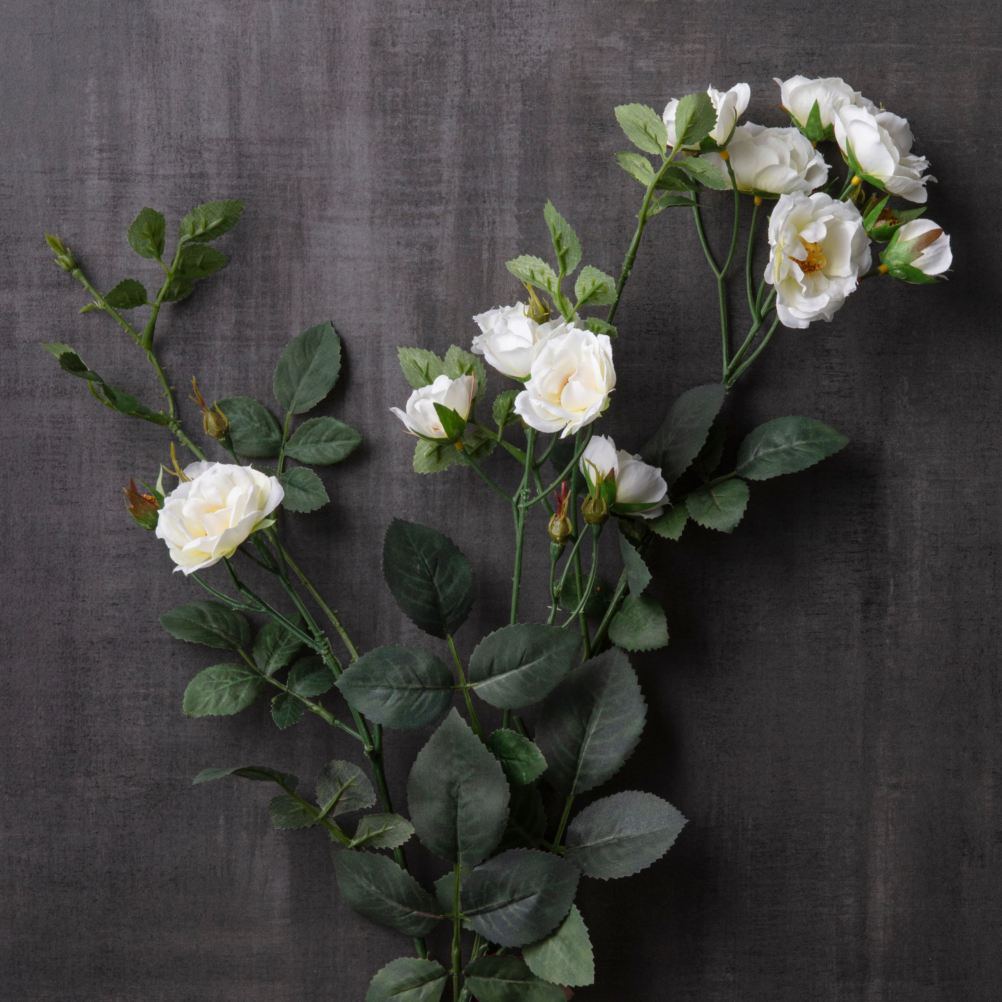 Cream Kate Rose Stem by Ashland®