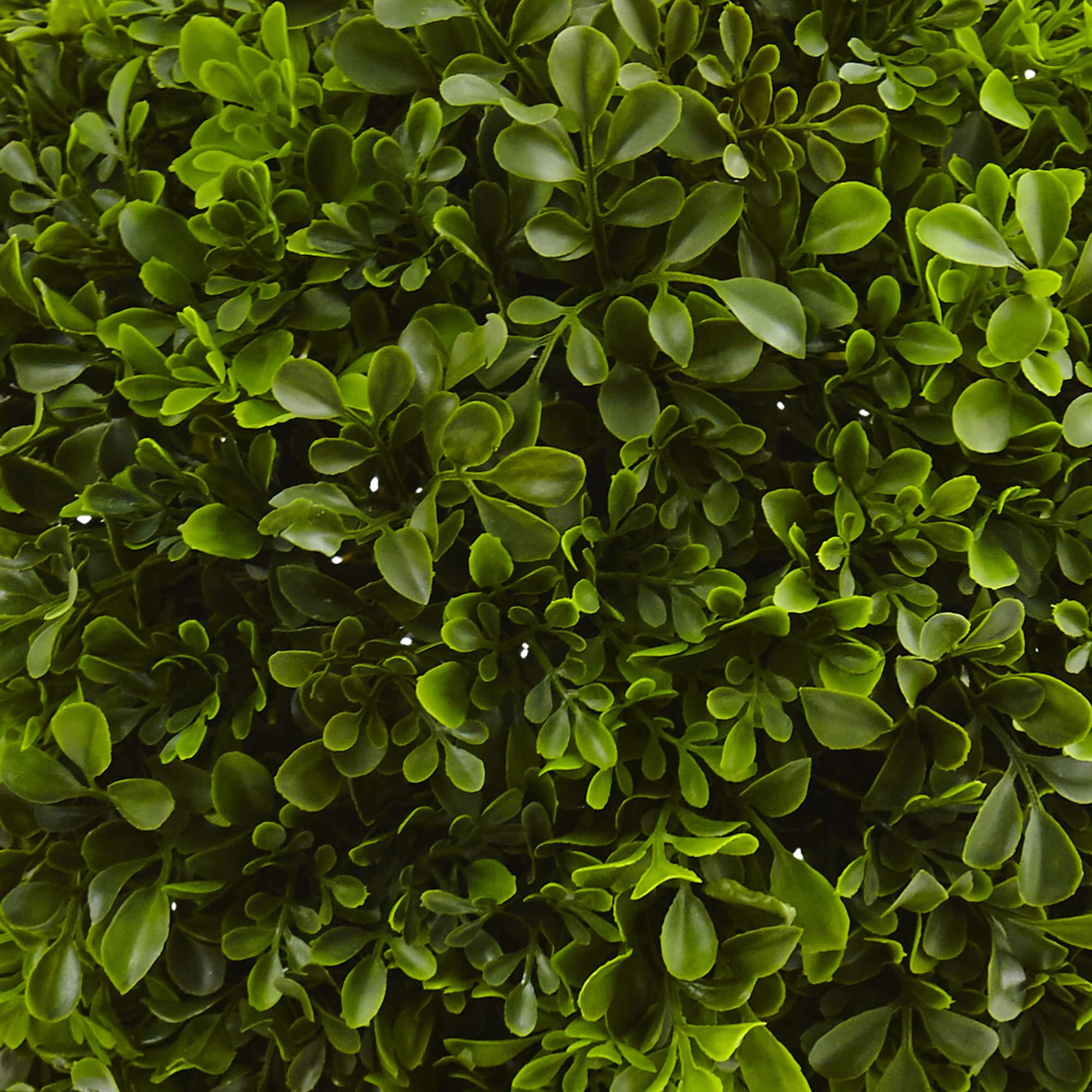 23" Potted Boxwood Ball Topiary
