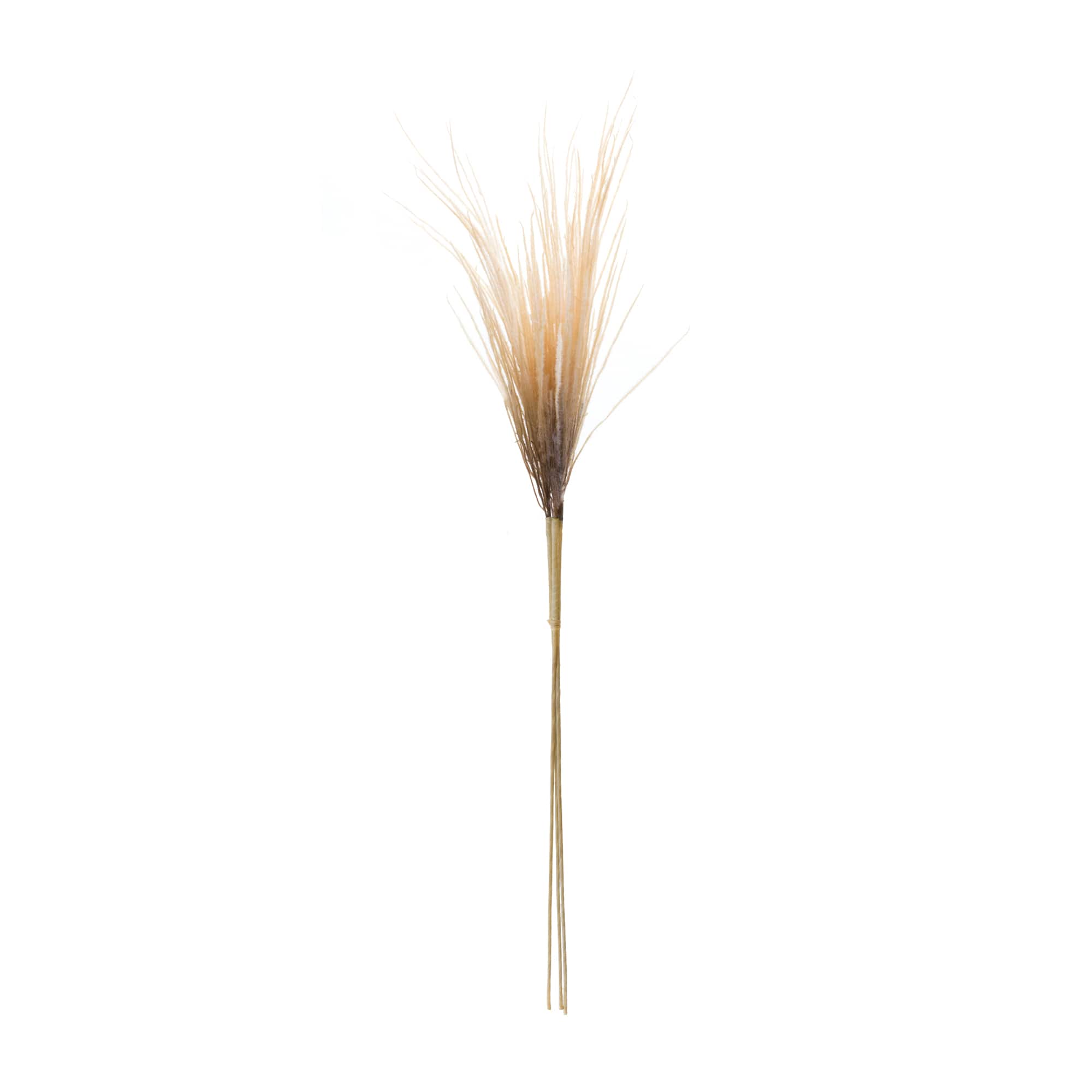 41" Grass Plume Bundles, 2ct.