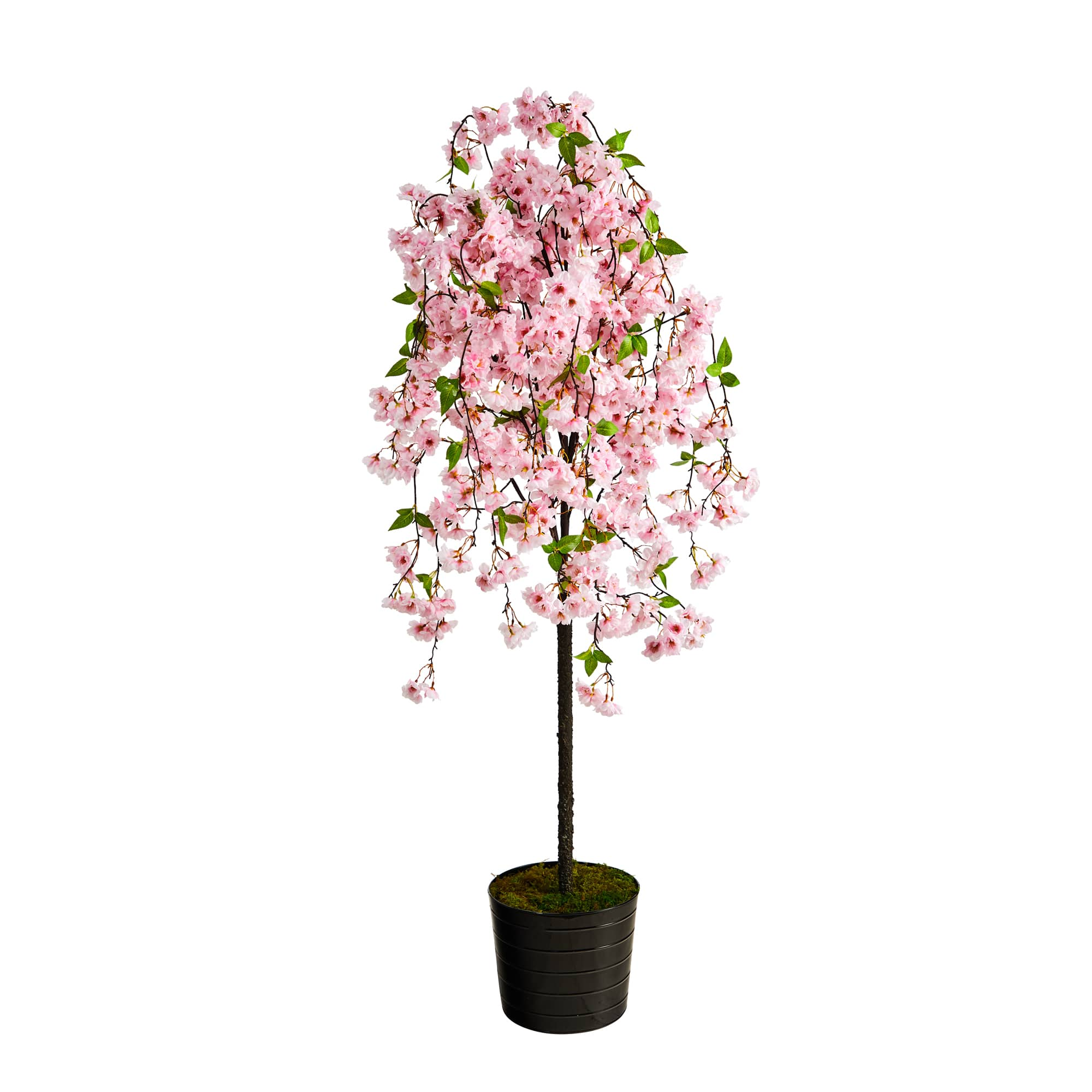 6ft. Cherry Blossom Artificial Tree in Black Tin Planter | Michaels