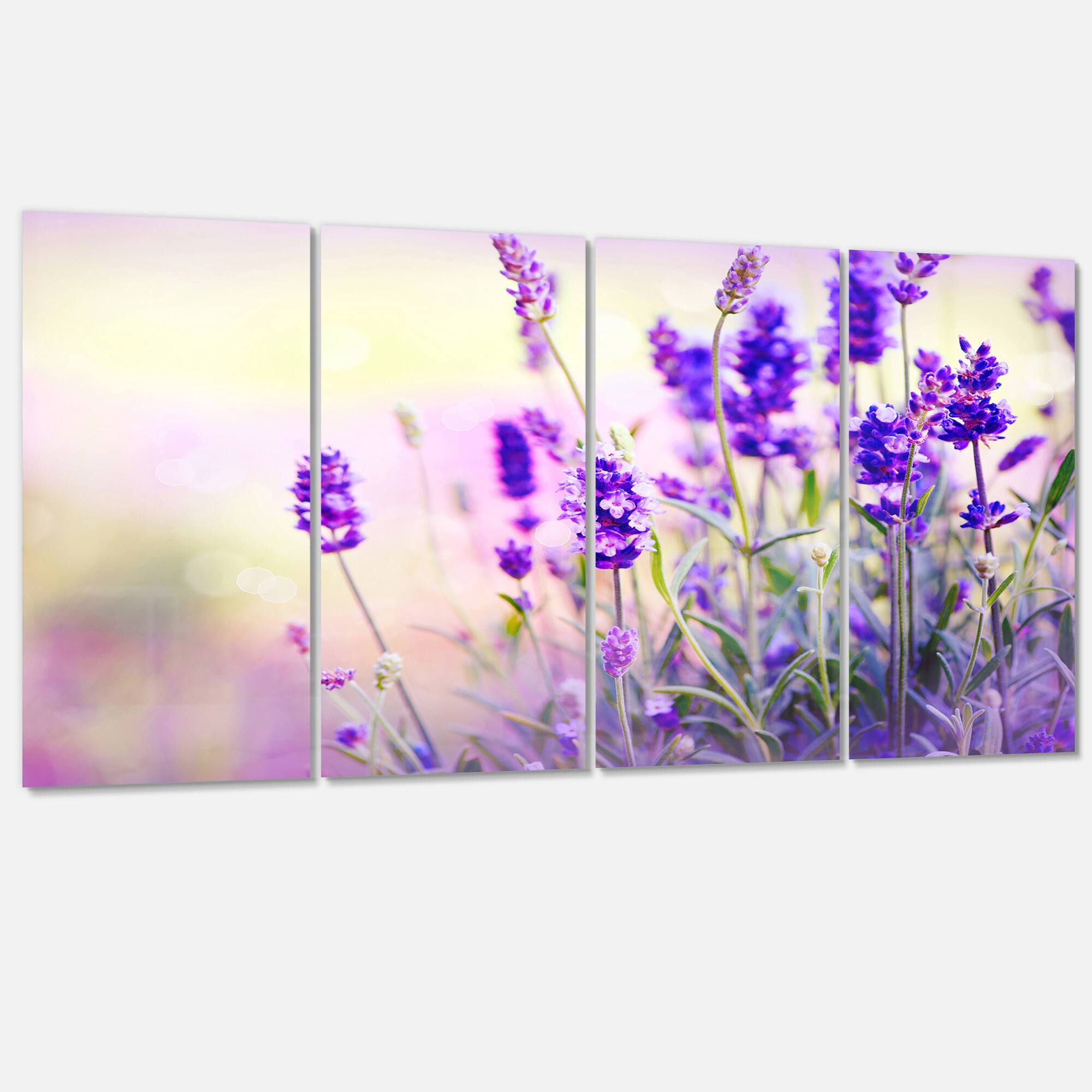 Designart - Purple Lavender Field - Floral Photography Canvas Art Print