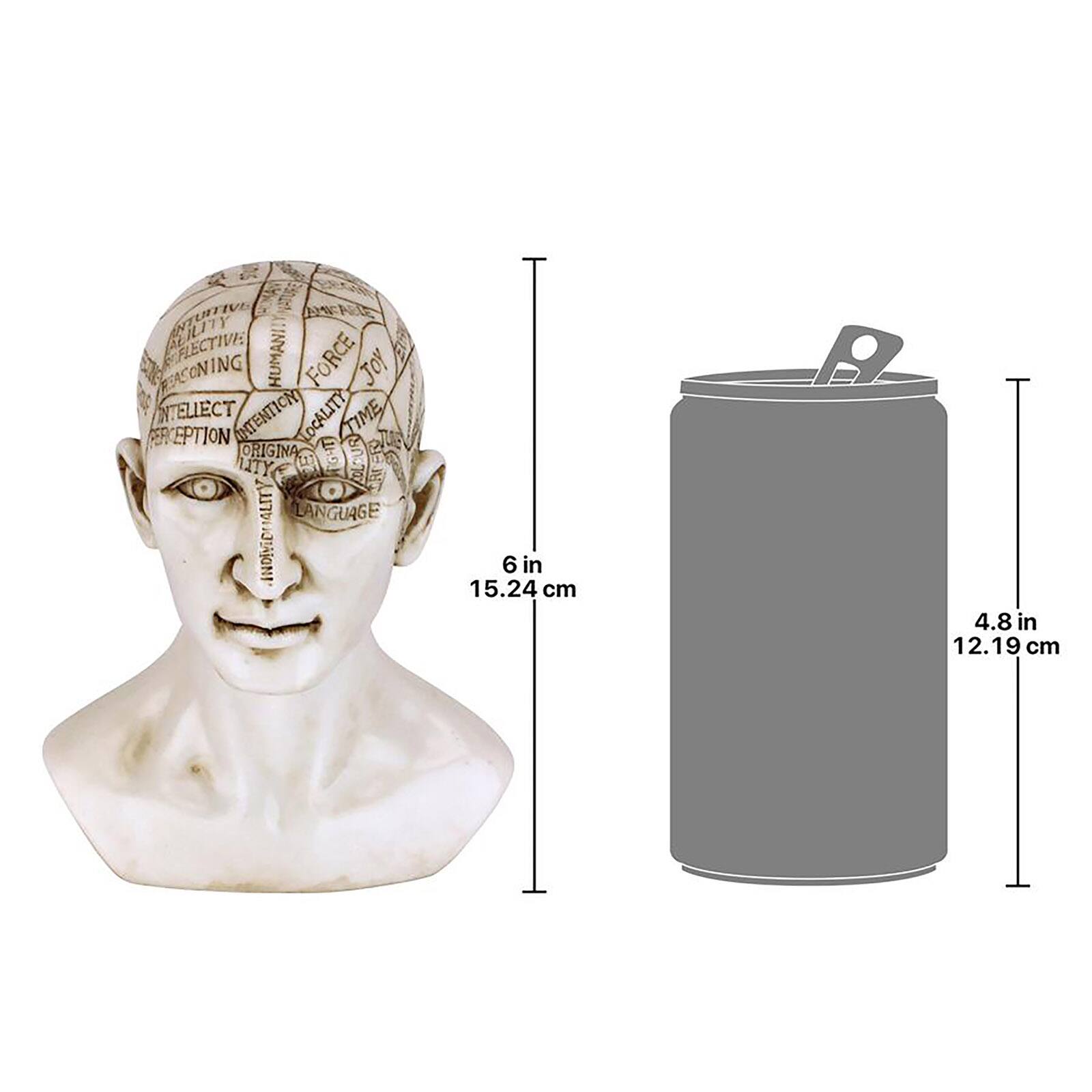Design Toscano 6" Phrenology the Science of the Brain Victorian Replica Statue