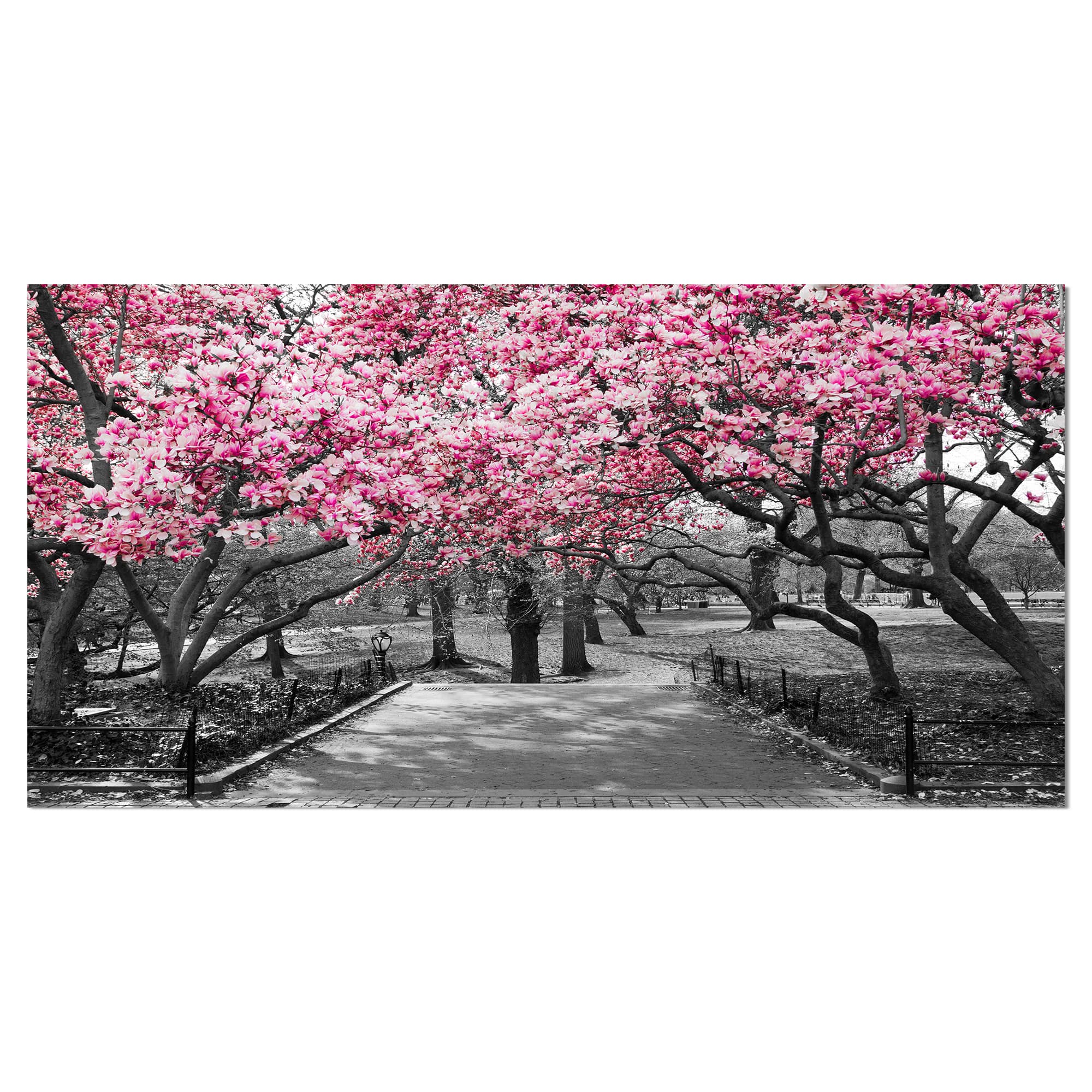 Designart - Cherry Blossoms - Landscapes Floral Photographic on wrapped Canvas