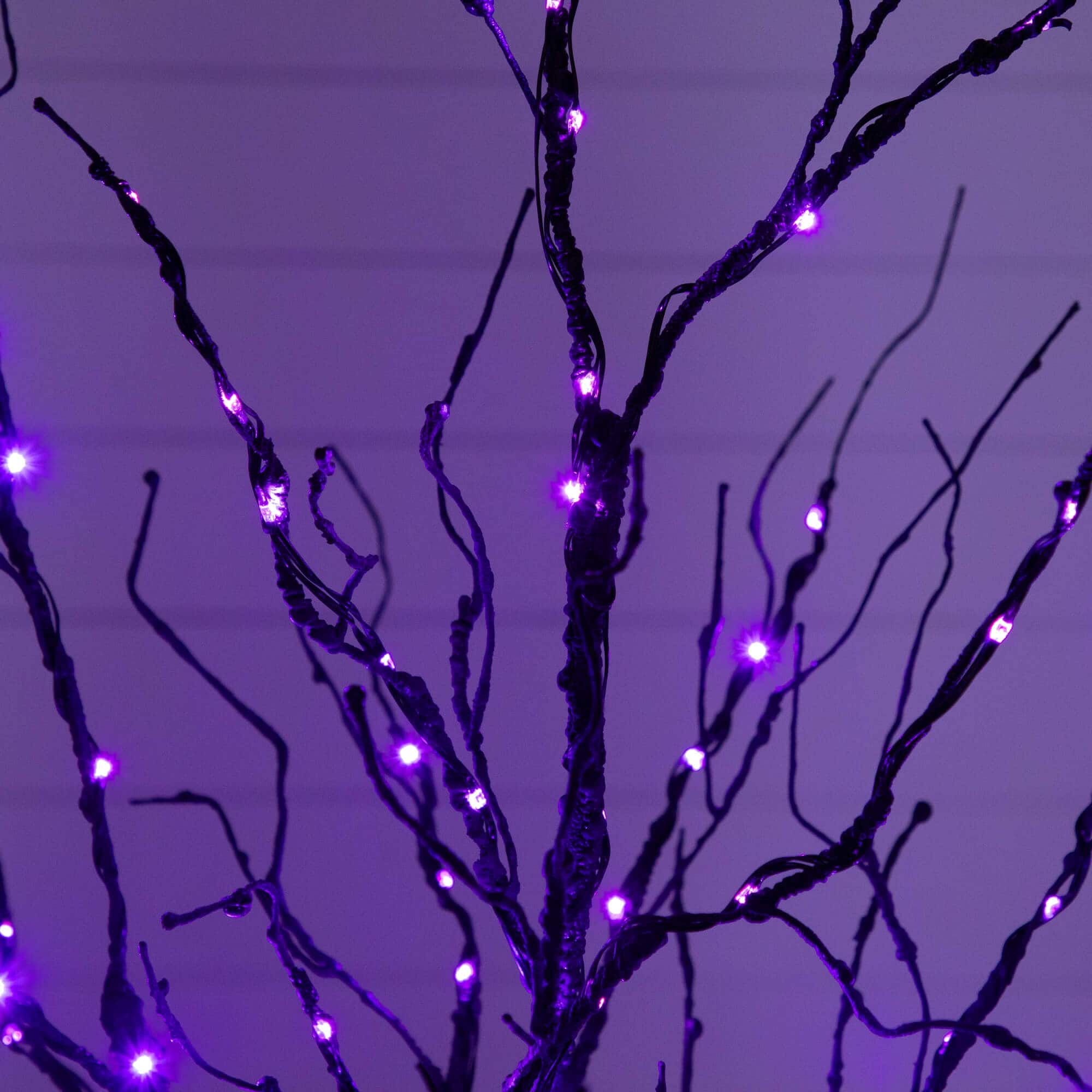4ft. Pre-Lit Halloween Black Twig Artificial Tree with 180 Orange & Purple LED Lights