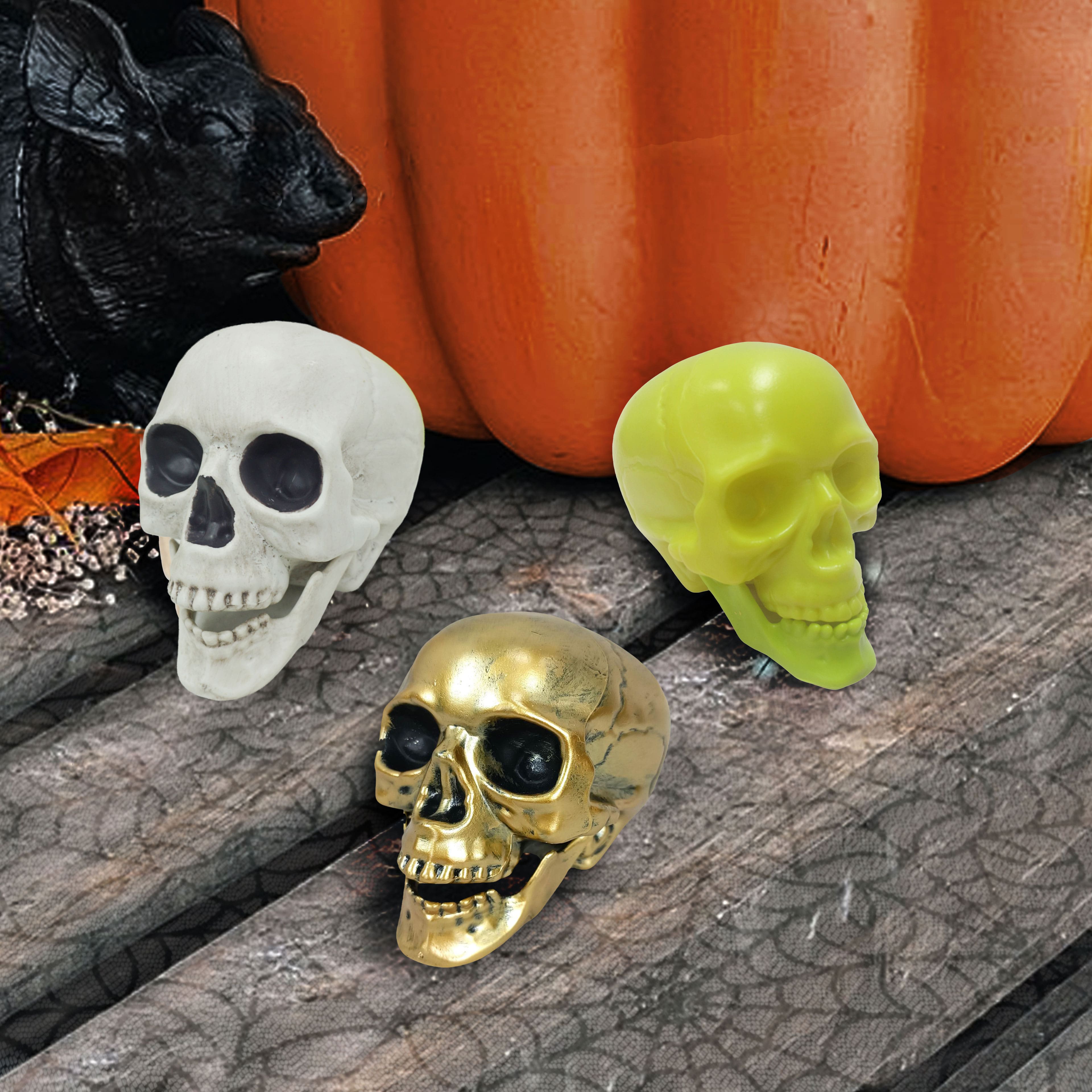 Assorted 4&#x22; Skull by Ashland&#xAE;, 1pc.