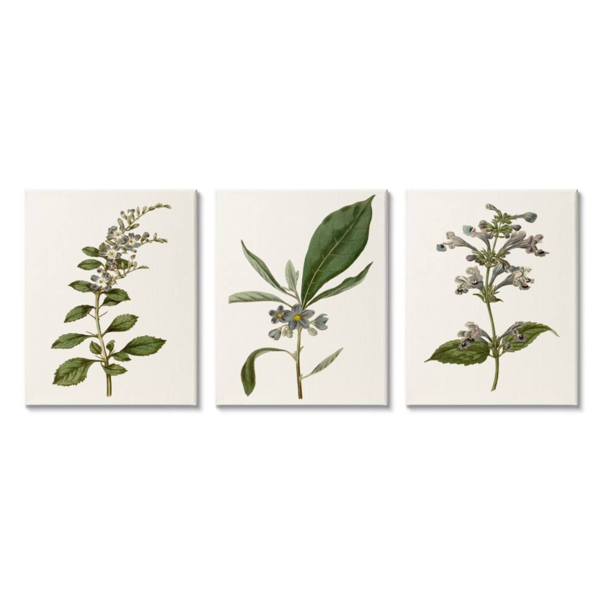 Stupell Industries Minimal Blue Botanical Study Over Neutral Beige Canvas Wall Art in Brown | 24" x 30" | Michaels®