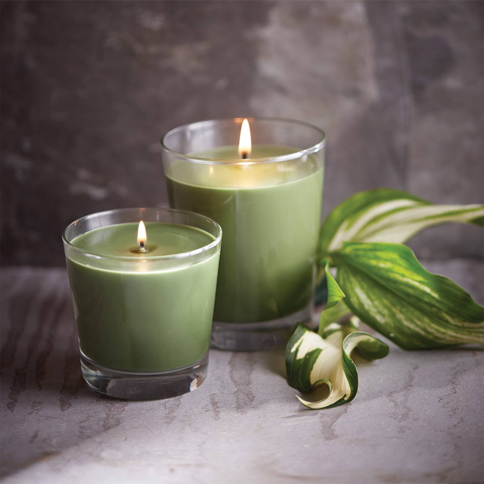 Root Candles 6.3oz. Small Scented Honeycomb Veriglass Jar Candle