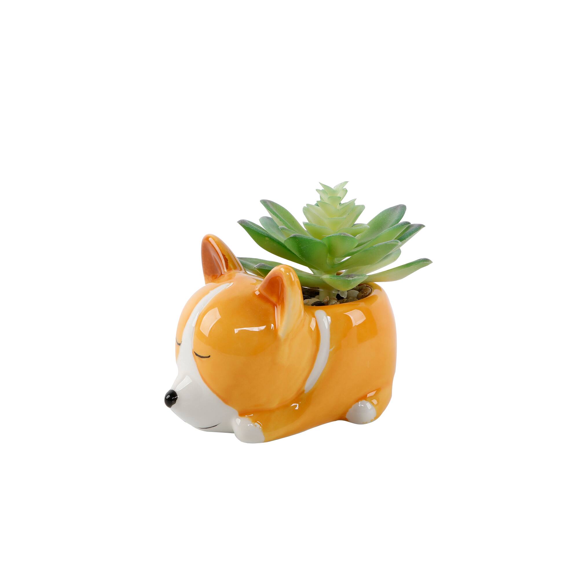 Flora Bunda&#xAE; 5.5&#x22; Green Succulent in Orange Ceramic Puppy Planter