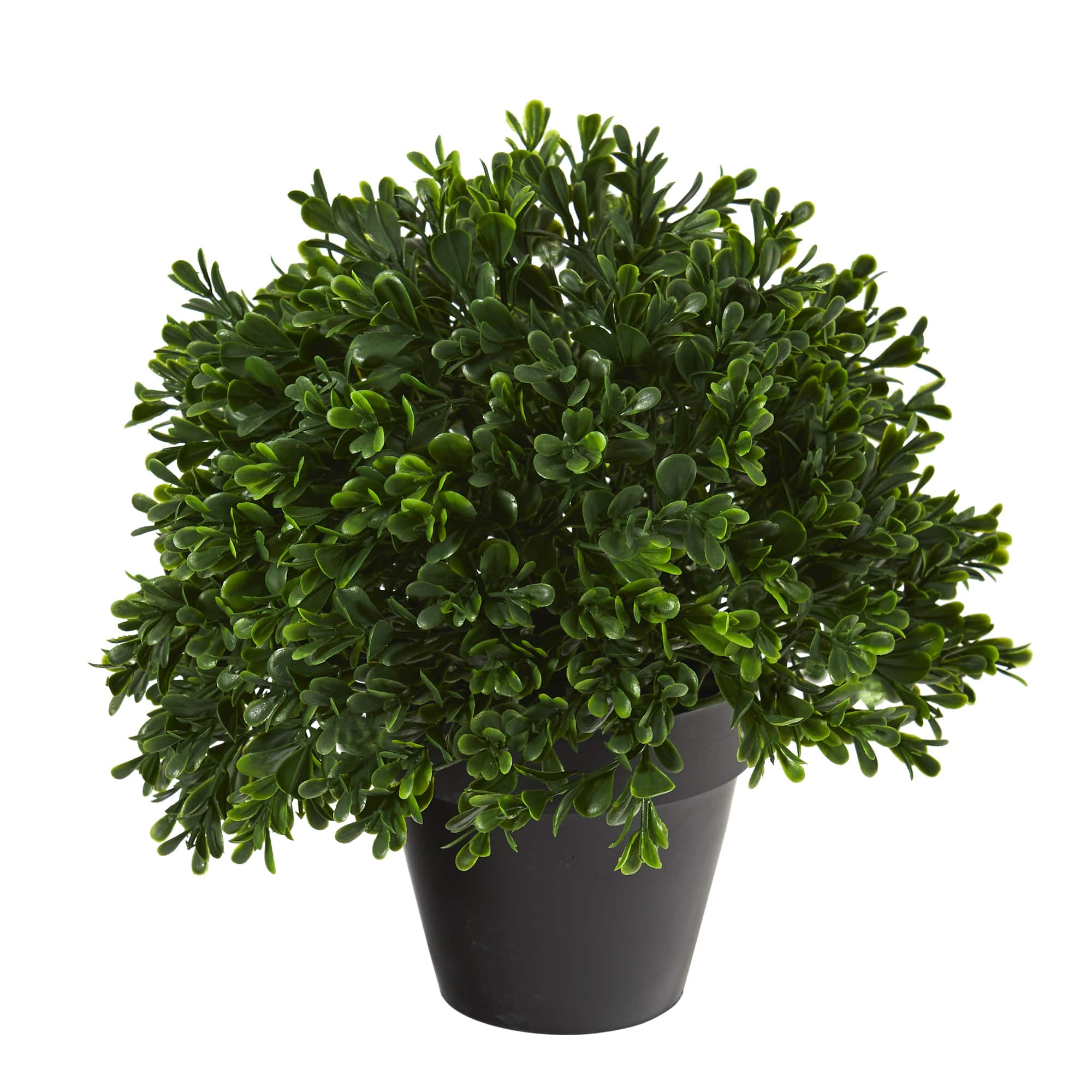 10” Potted Boxwood Topiary Plant | Michaels