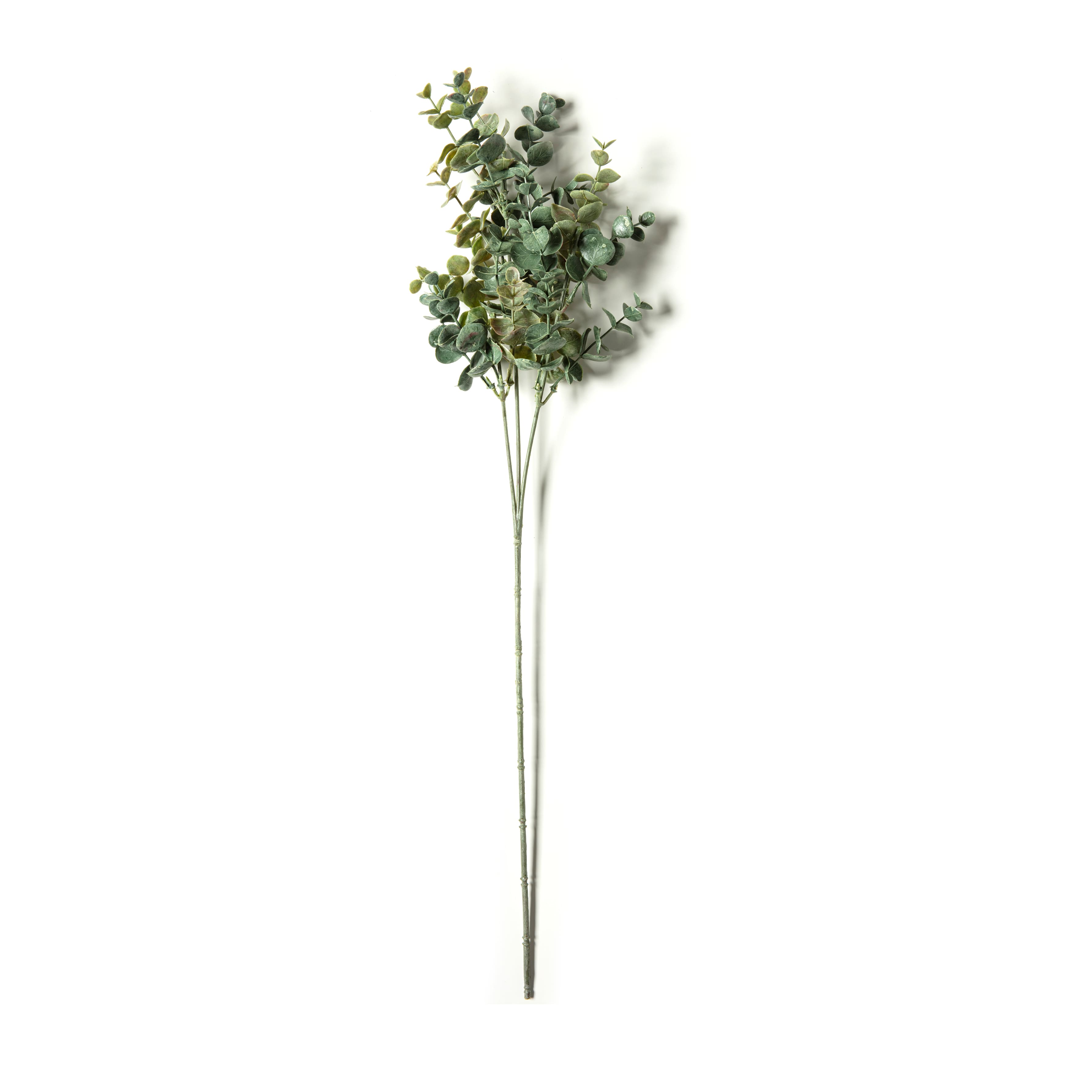 12 Pack: Green Eucalyptus Stem by Ashland®