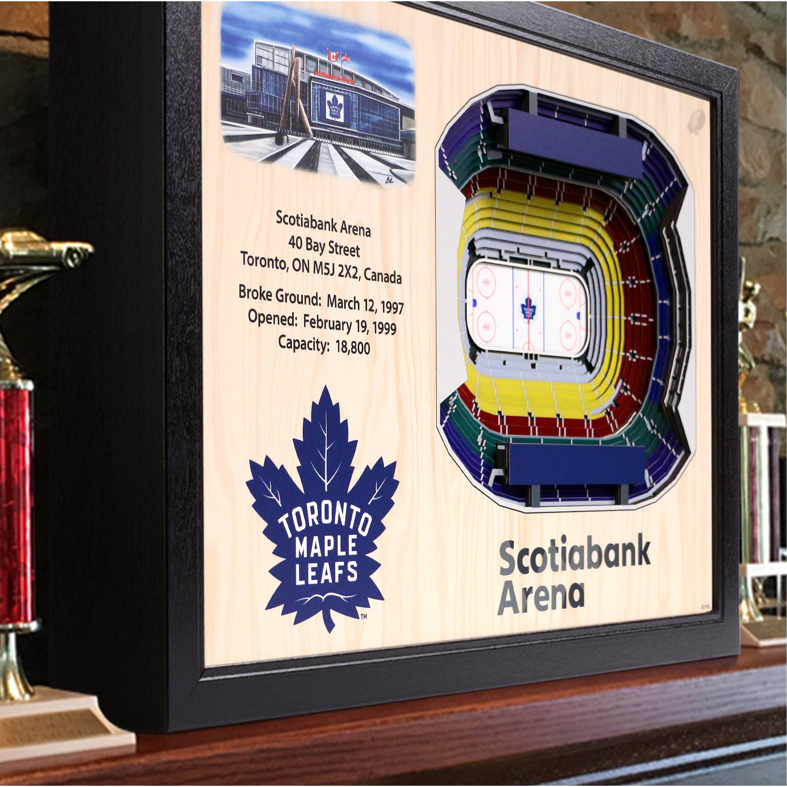 NHL 25-Layer StadiumView Wall Art