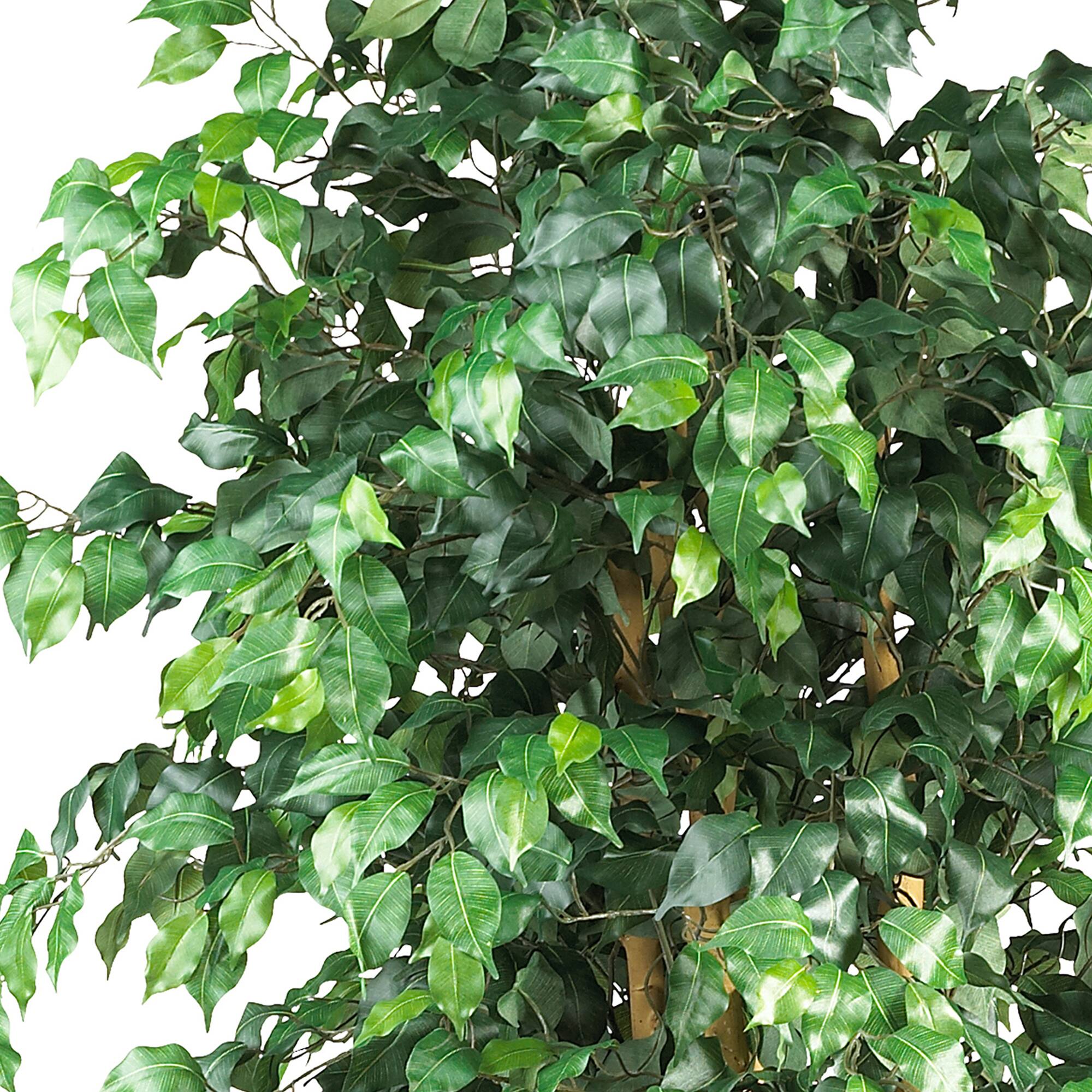 6ft. Potted Palace Style Ficus Tree Artificial Trees Michaels