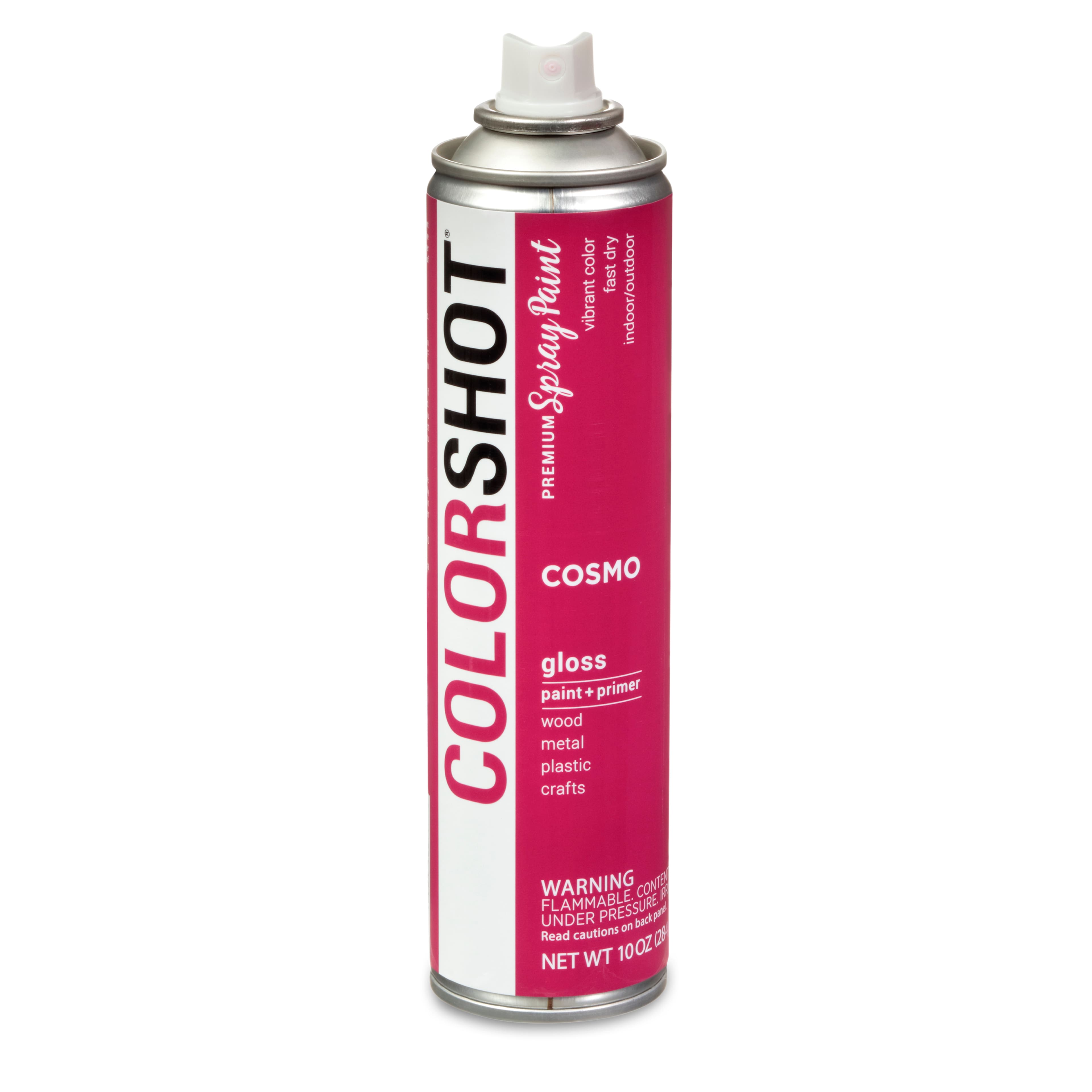 COLORSHOT&#xAE; Premium Gloss Spray Paint