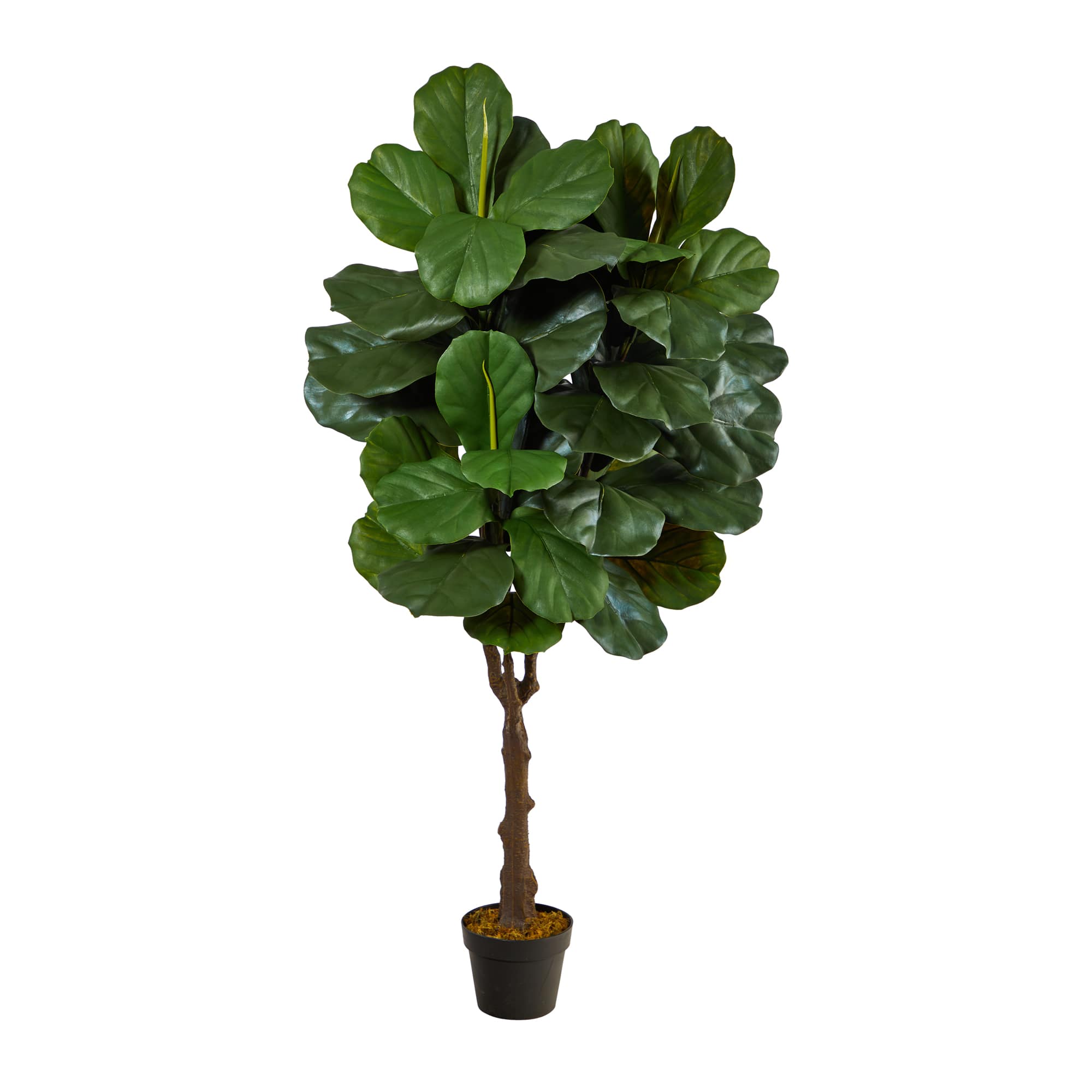 4.5ft. Potted UV Resistant Fiddle Leaf Fig Tree