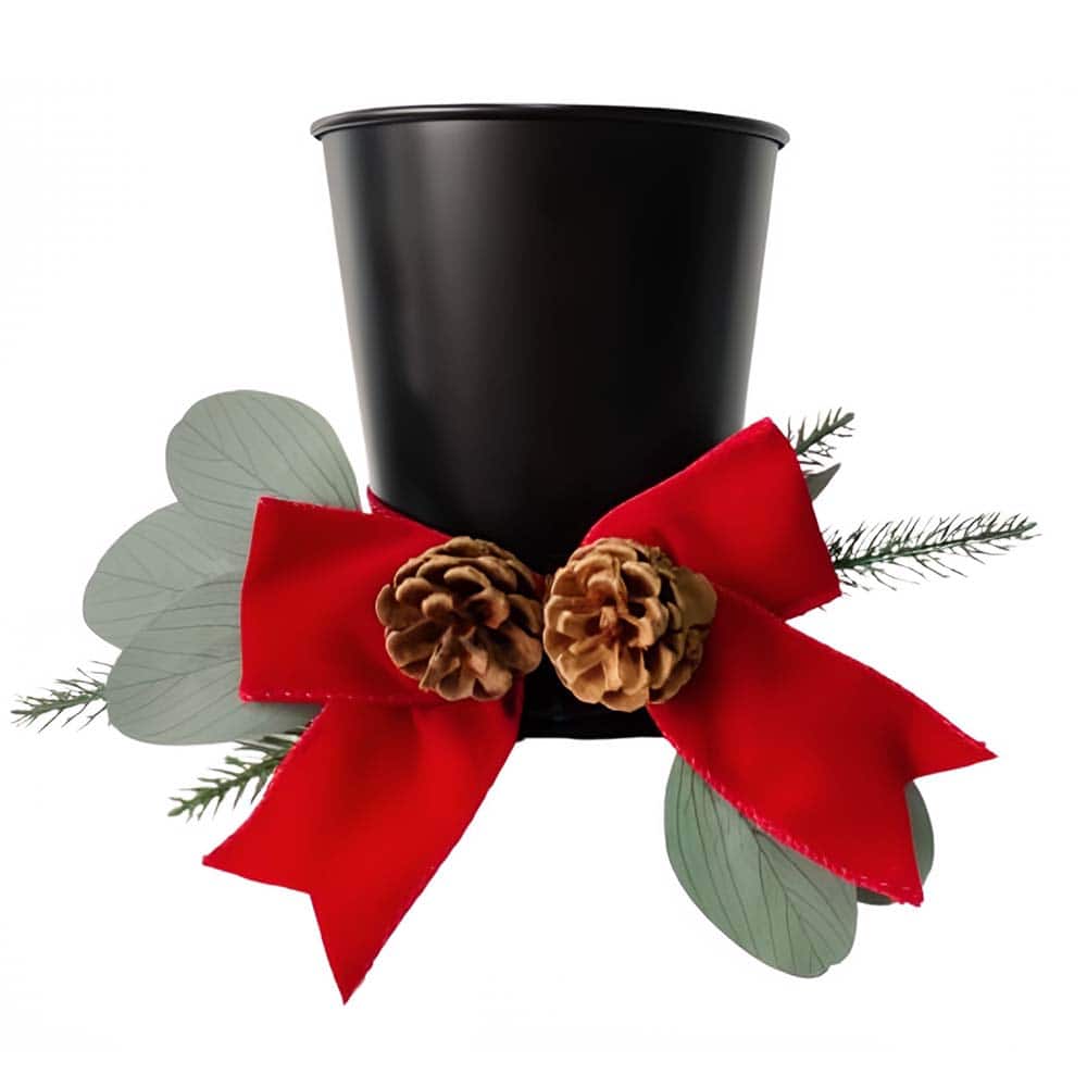 Black Top Hat Container with Red Bow &#x26; Pinecones by Ashland&#xAE;