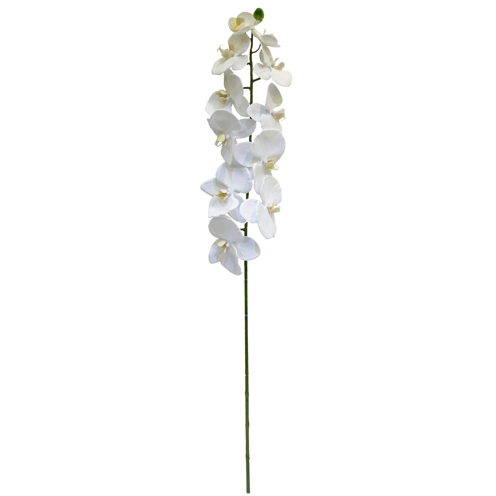 12 Pack: White Orchid Stem by Ashland&#xAE;