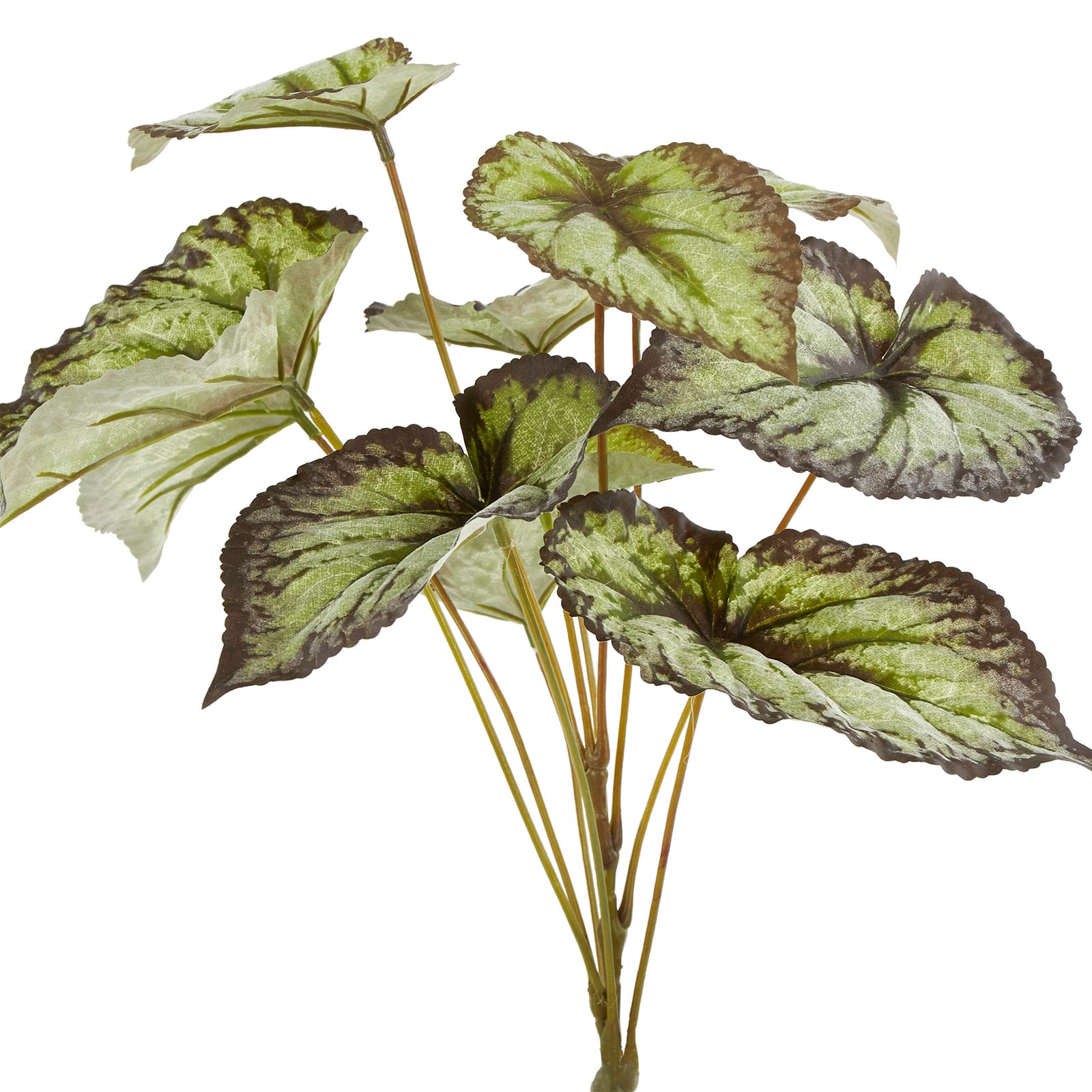 Green &#x26; Black Begonia Leaves Bush by Ashland&#xAE;