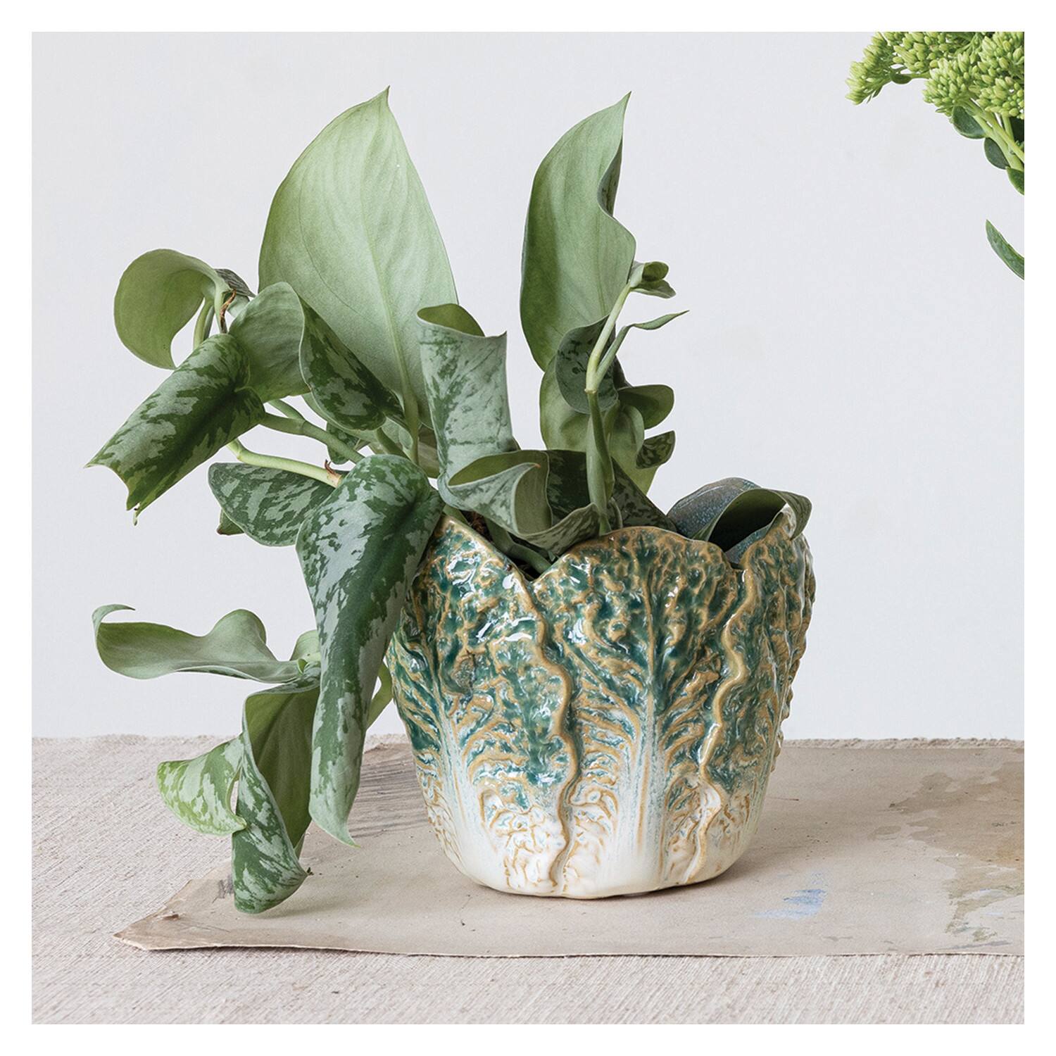 Hello Honey® 5.75" Green Reactive Glaze Embossed Stoneware Cabbage Planter