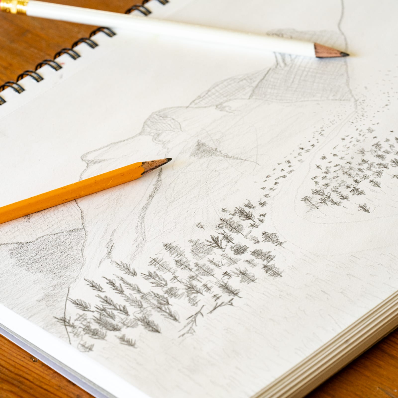 12 Pack: Sketch Pad by Artist&#x27;s Loft&#x2122;, 5.5&#x22; x 8.5&#x22;