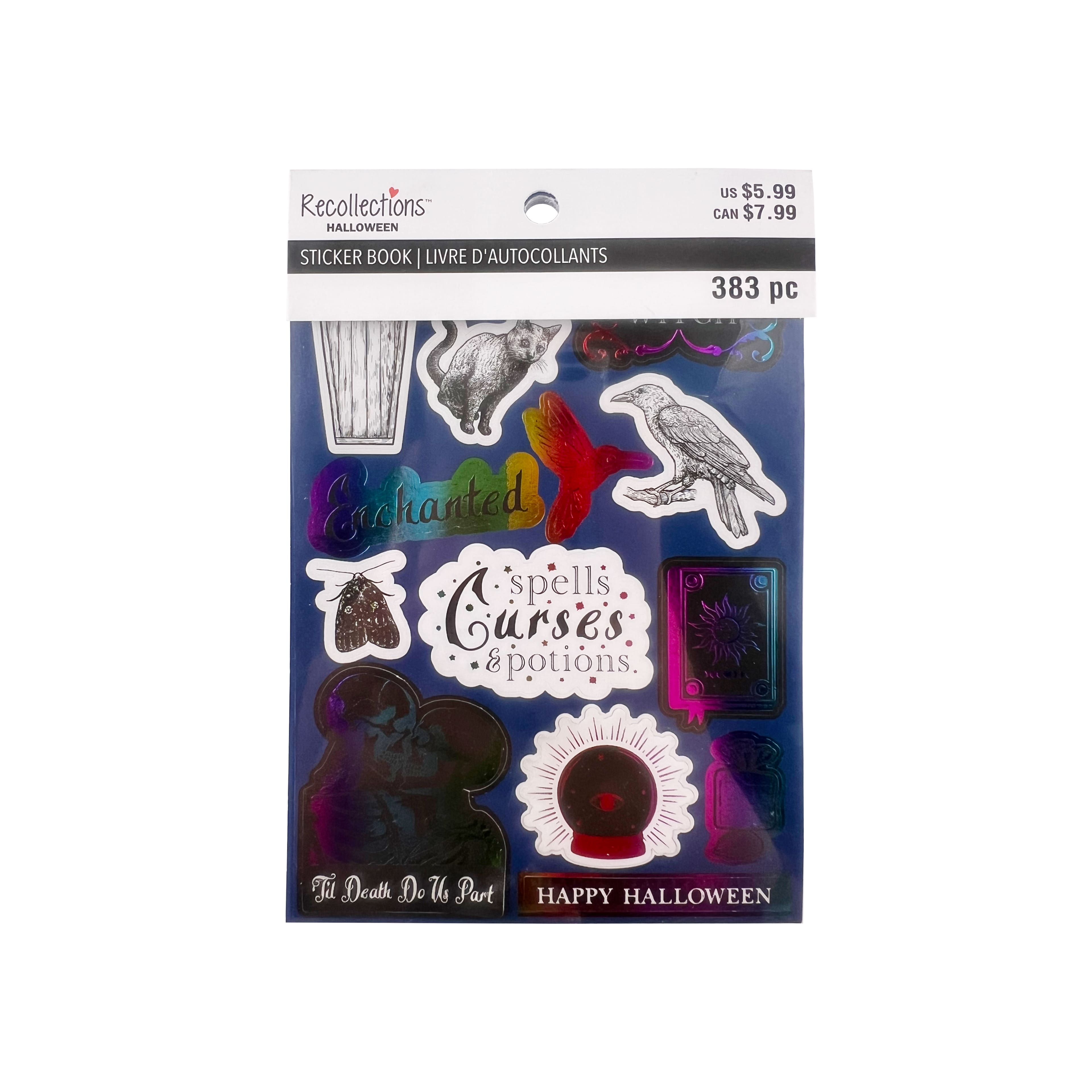 Iridescent Moon Sticker Book by Recollections&#x2122;