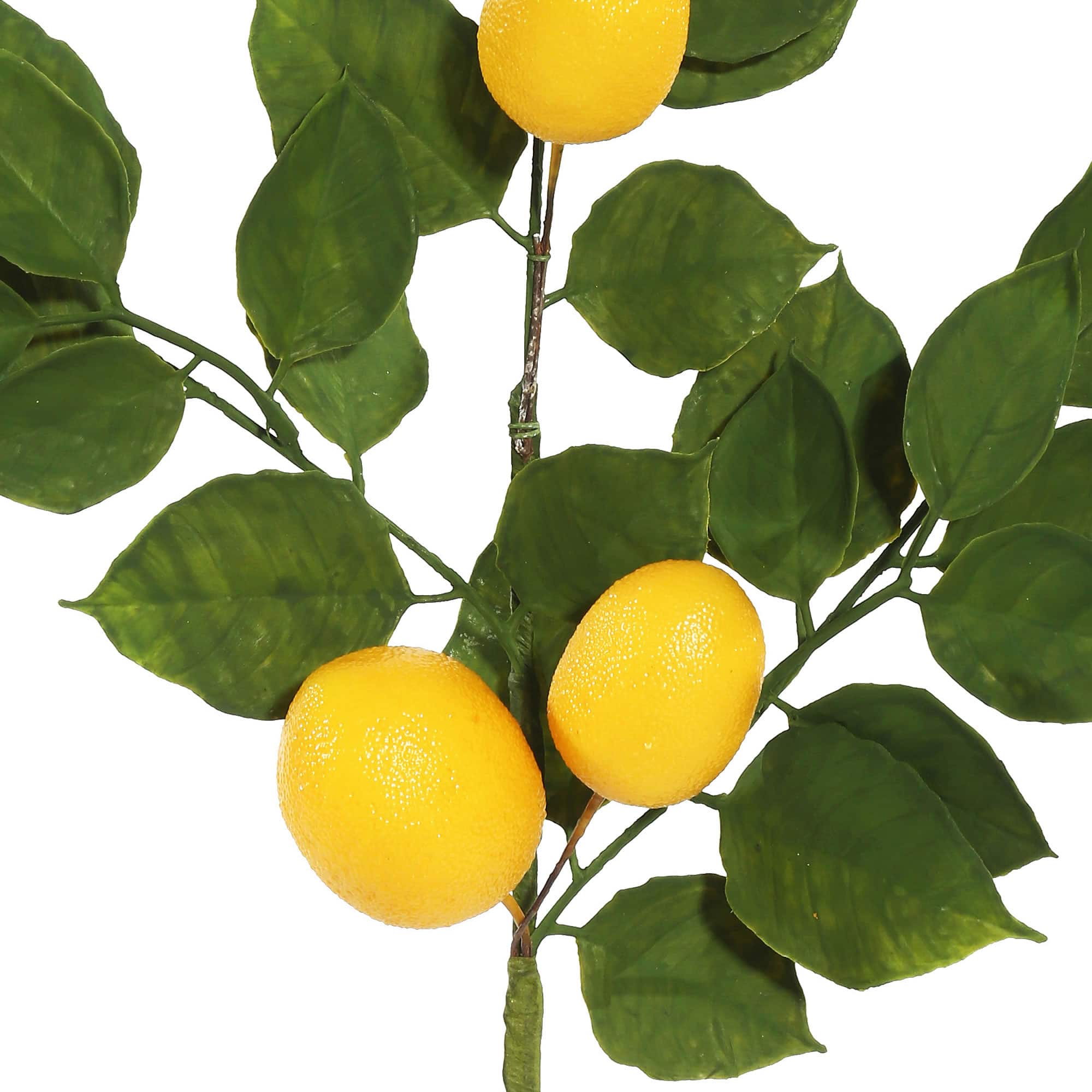6ft. Green &#x26; Yellow Salal Leaf Lemon Garland