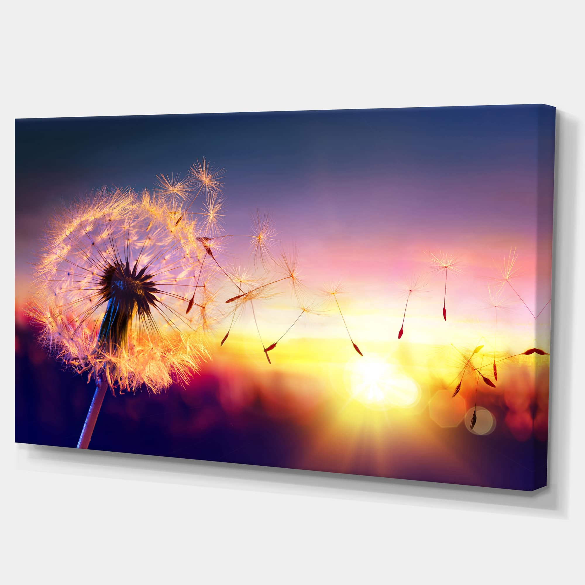 Designart - Dandelion at Sunset Freedom to Wish - Abstract Wall Art Canvas