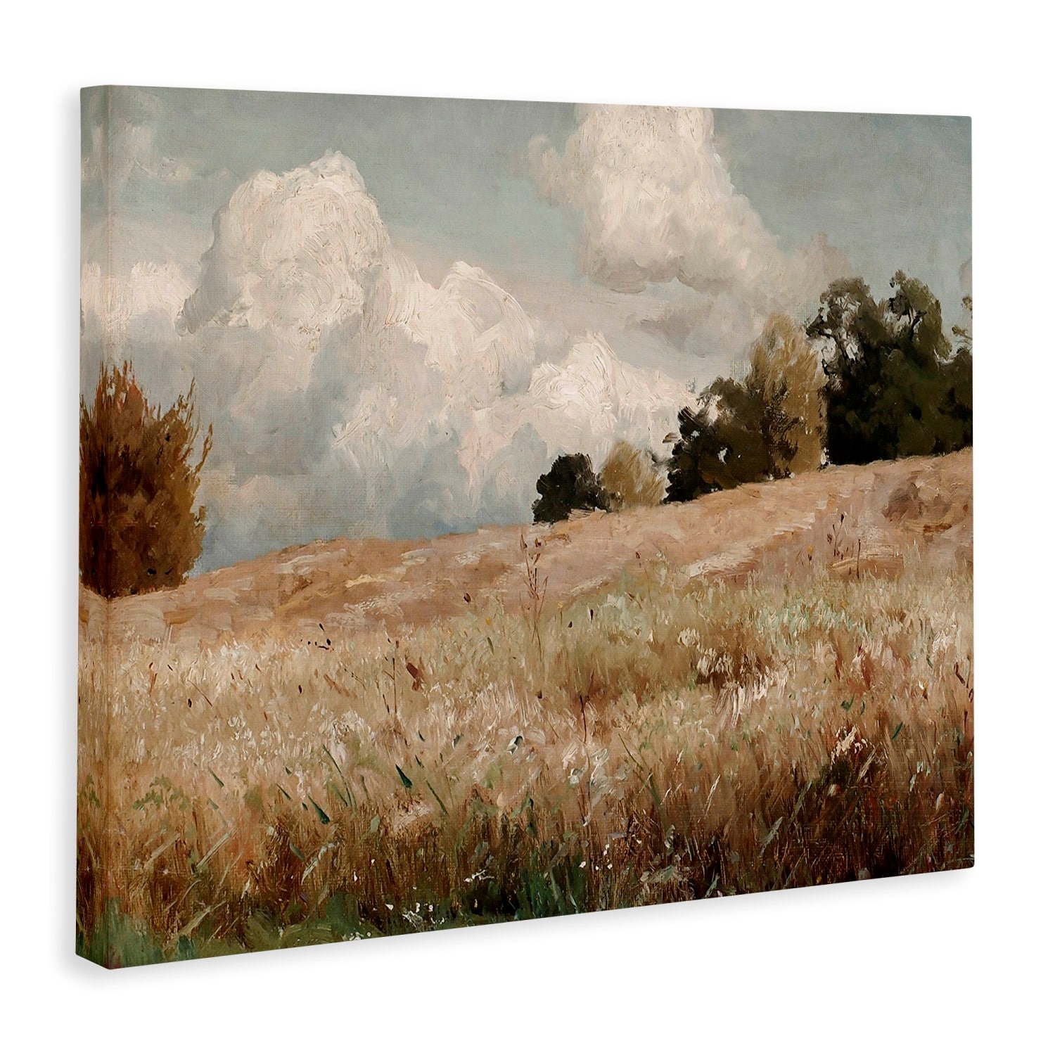 Stupell Industries Classic Cloudy Field Landscape Canvas Wall Art