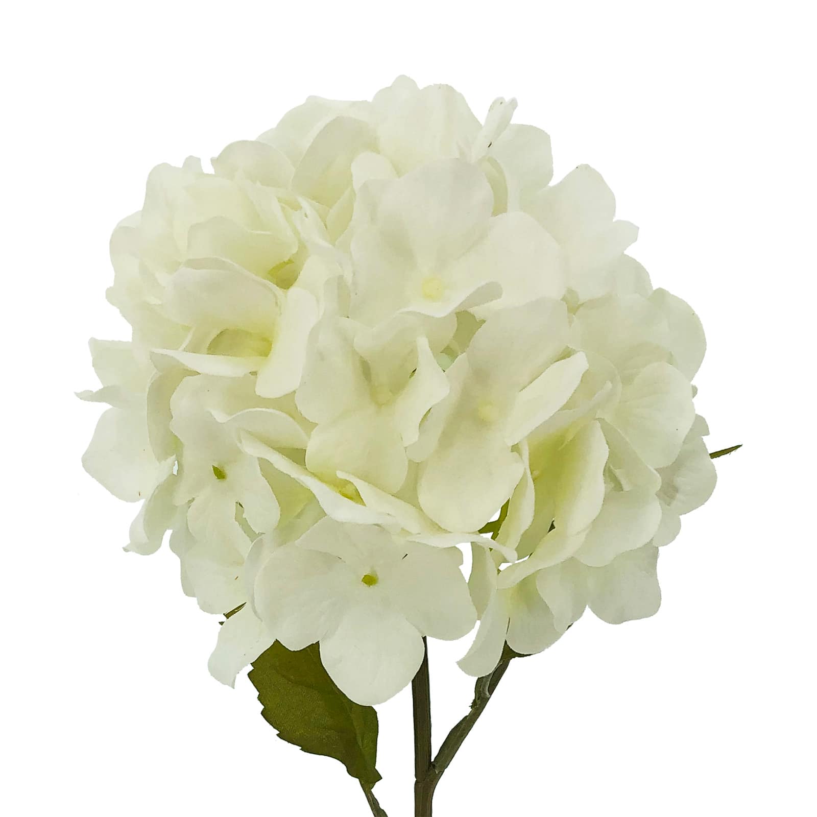 25&#x22; Cream Hydrangea Stem by Ashland&#xAE;