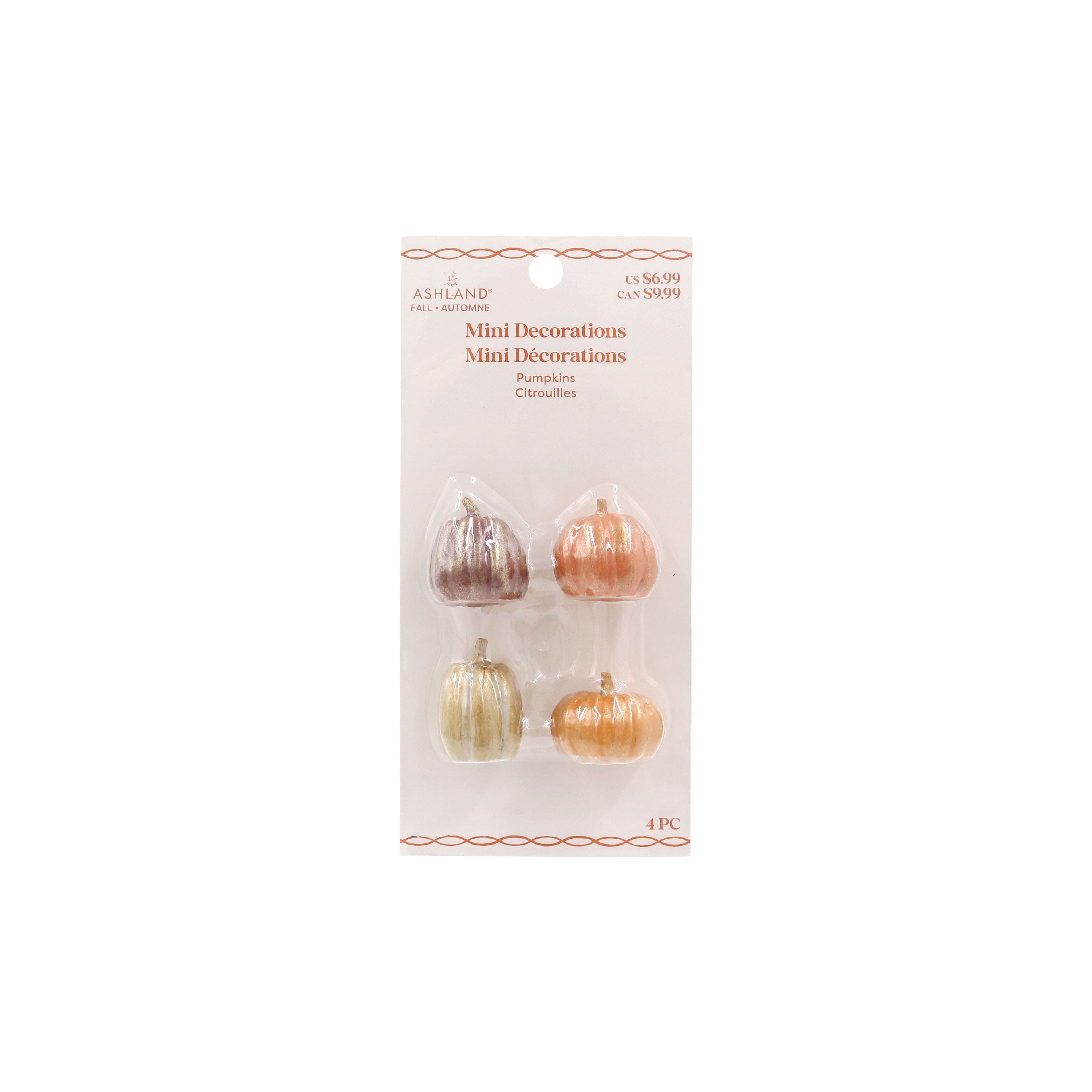 Mini Pumpkins, 4ct. by Ashland&#xAE;