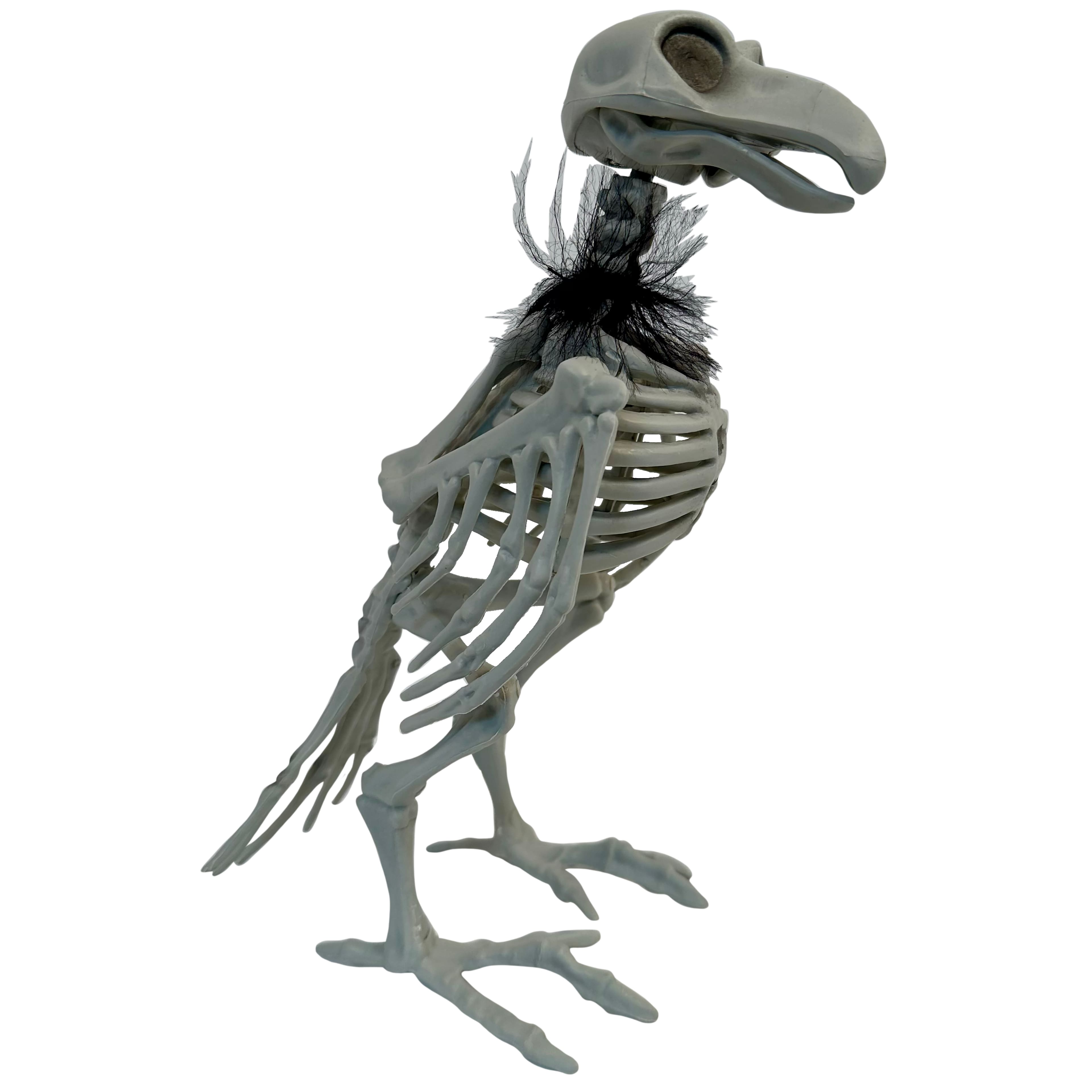 11.5&#x22; Crow Skeleton with Feathers by Ashland&#xAE;