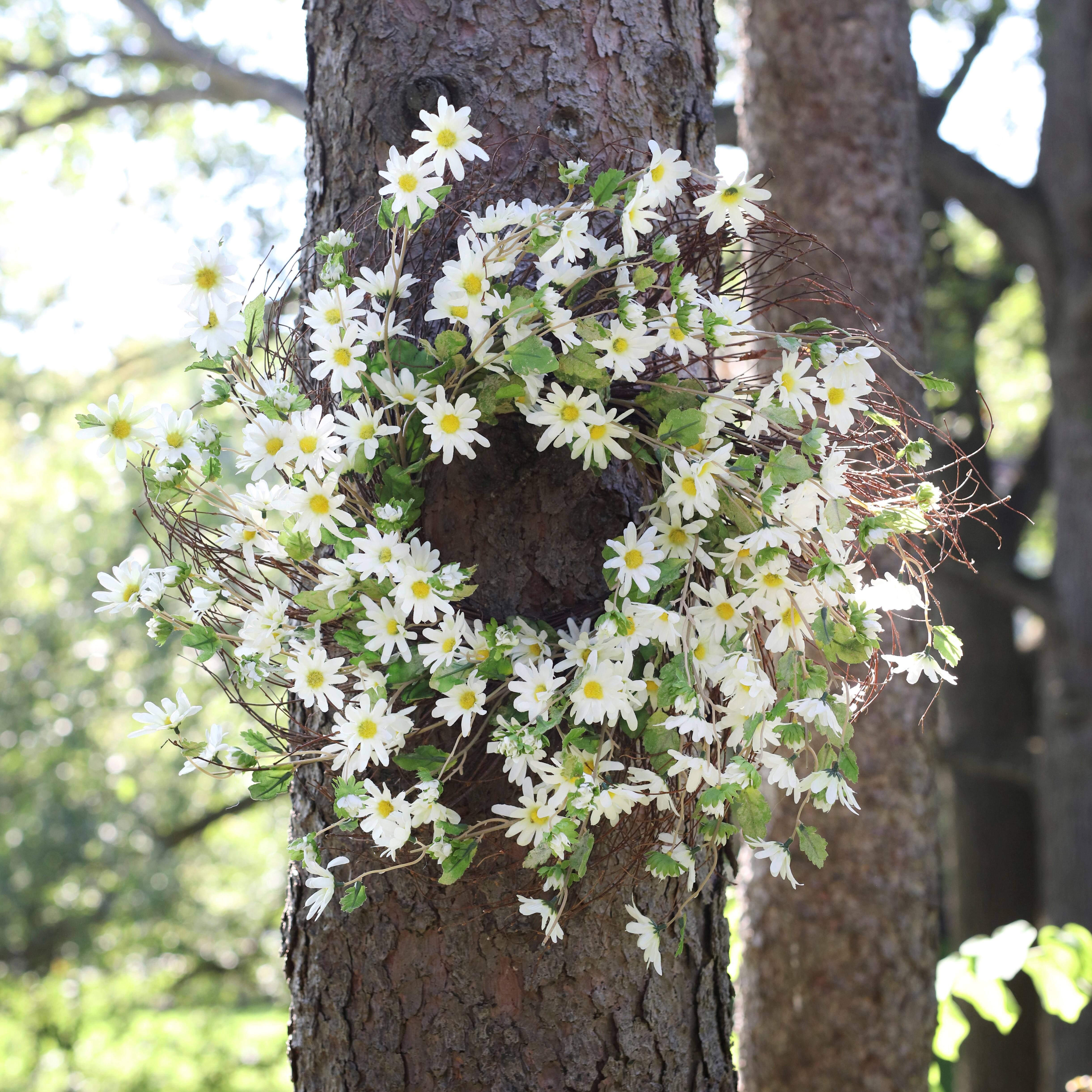 23" White Daisy Wreath