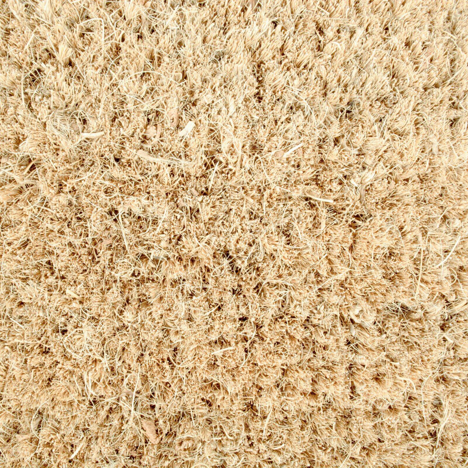 DII® Home Sweet Gnome Doormat