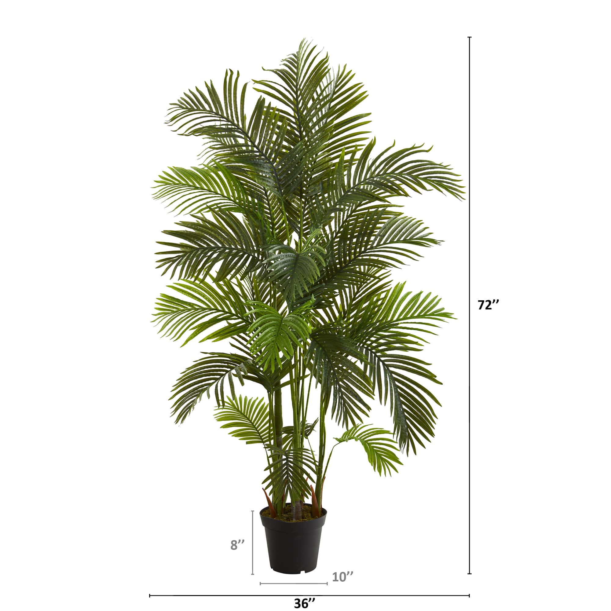 6ft. Potted Areca Palm Tree