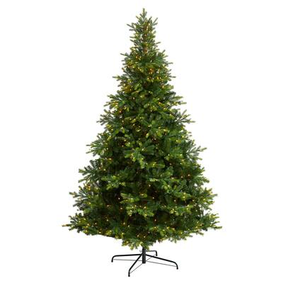9ft. Pre-Lit North Carolina Spruce Artificial Christmas Tree, Clear ...