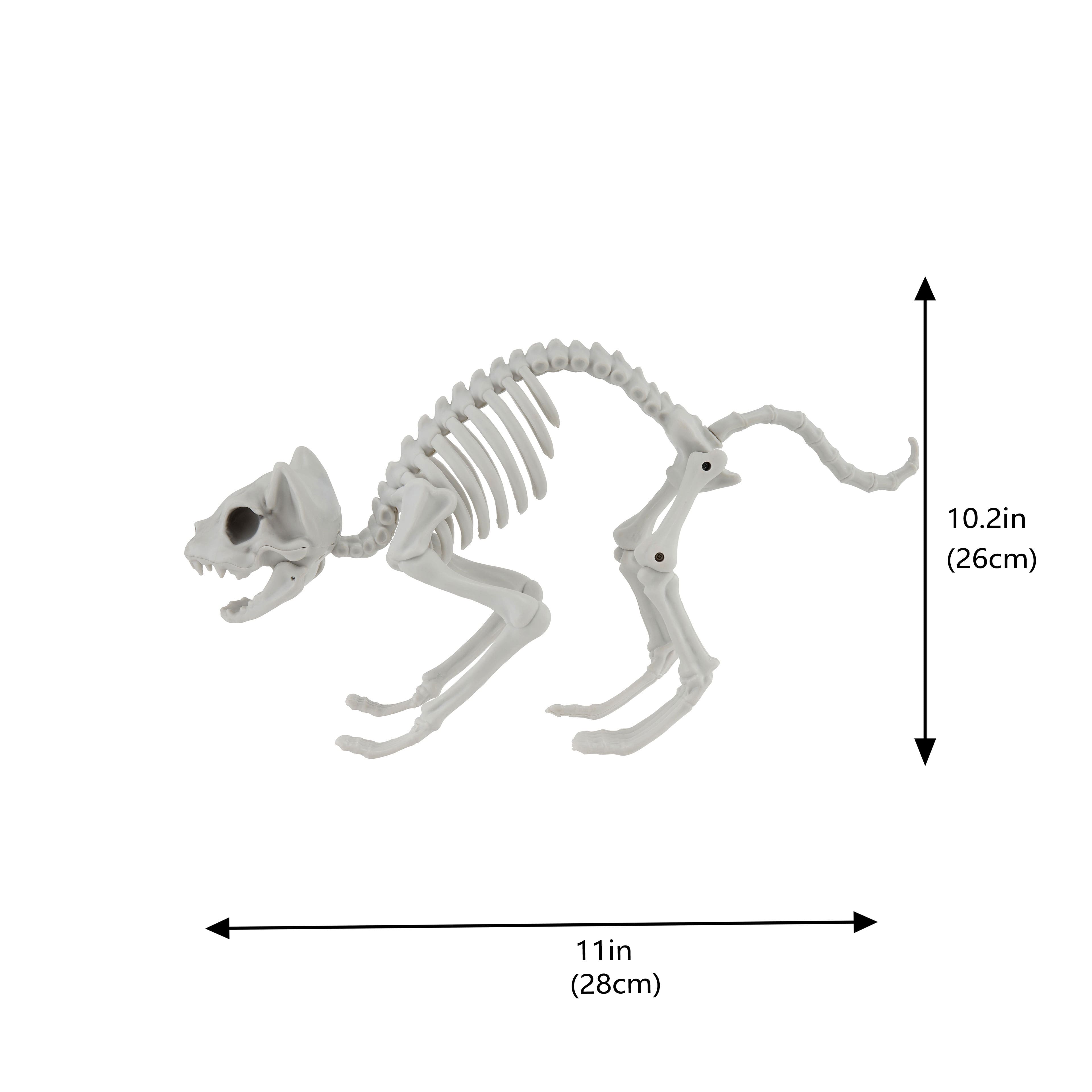 11&#x22; Cat Skeleton by Ashland&#xAE;