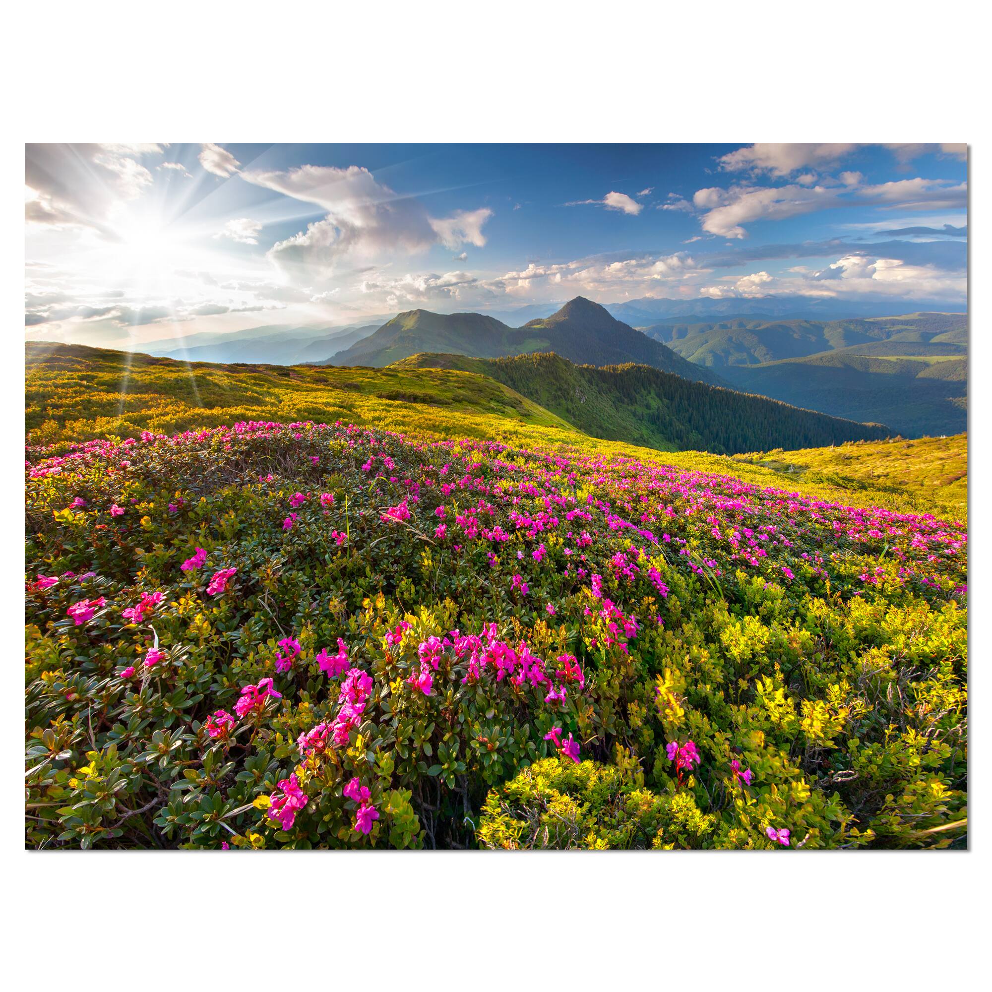 Designart - Summer Day Rhododendron Flowers - Landscape Canvas Art Print