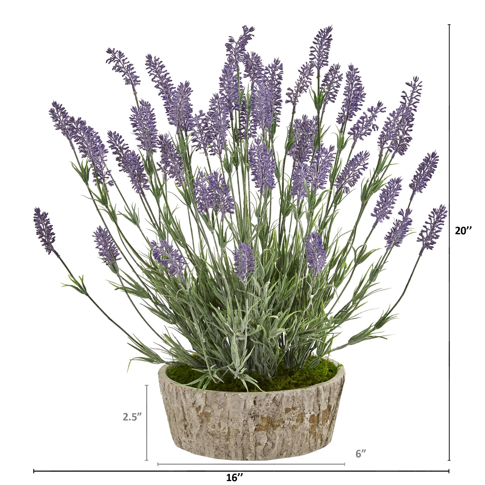 20in. Lavender Plant in Weathered Oak Planter