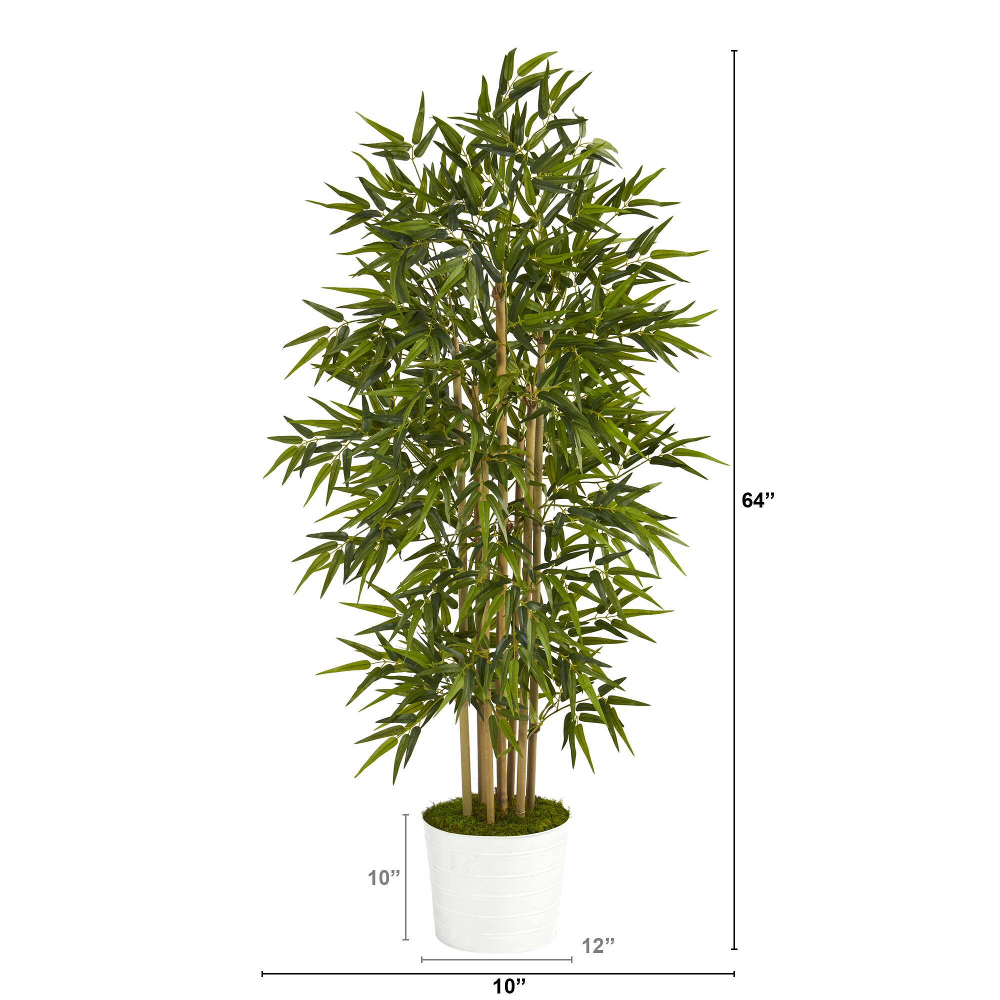 5.3ft. Bamboo Tree in White Tin Planter