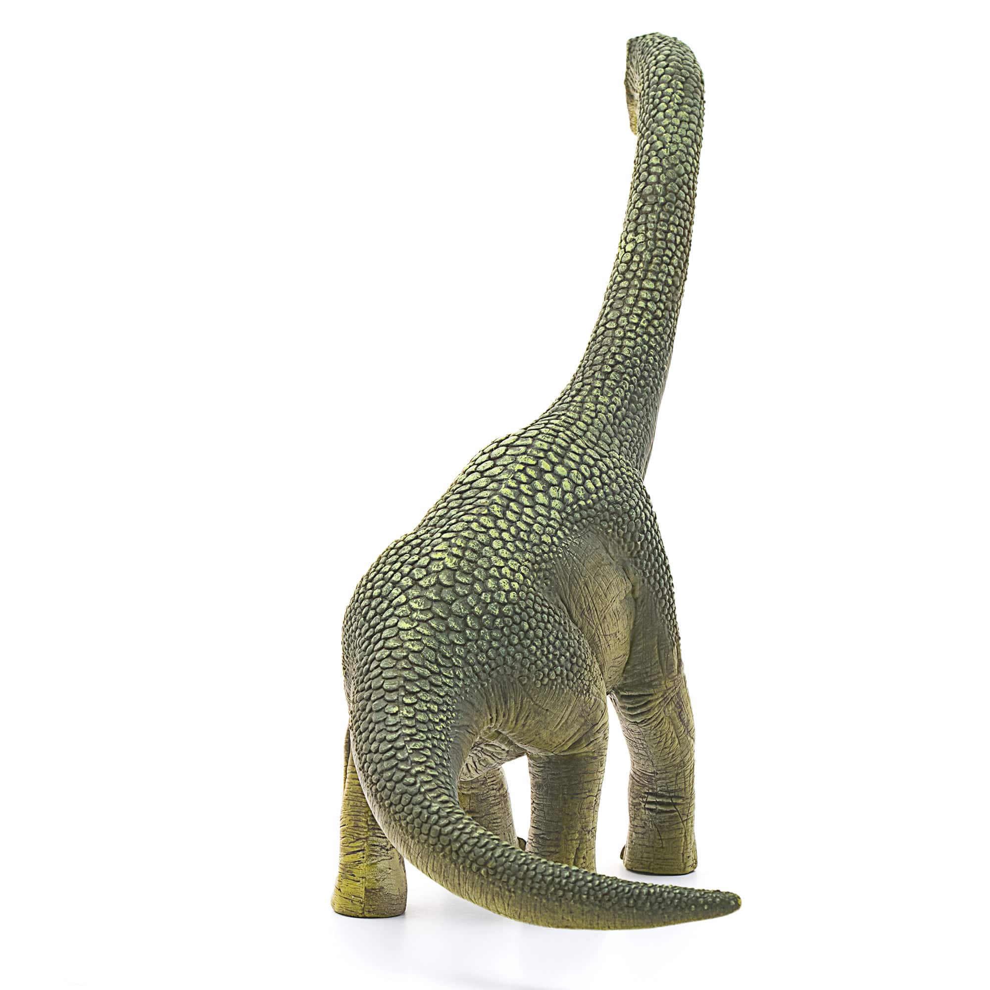 schleich&#xAE; Dinosaurs 9.5&#x22; Brachiosaurus Action Figure